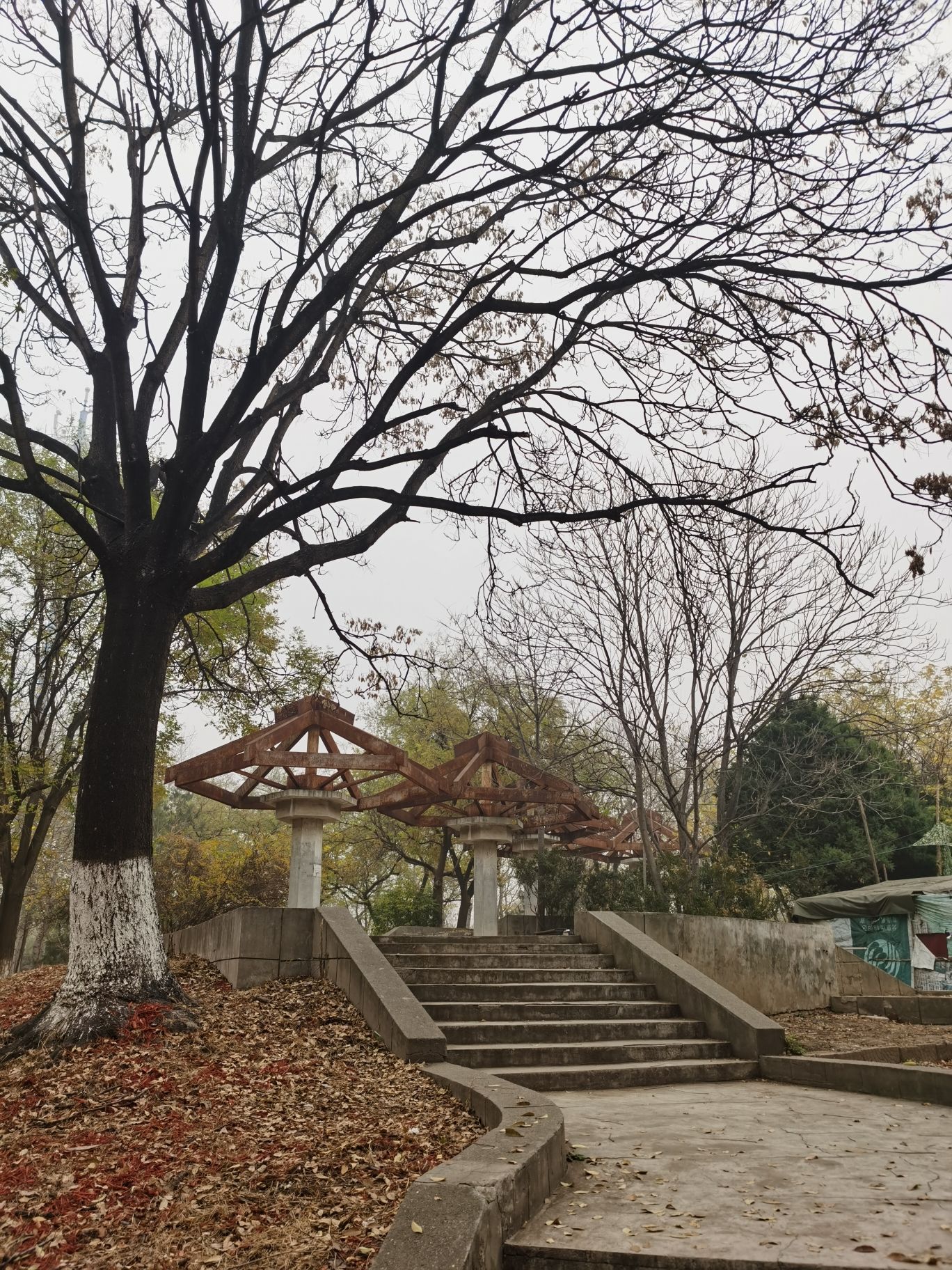 翠城公园旅行图片 3