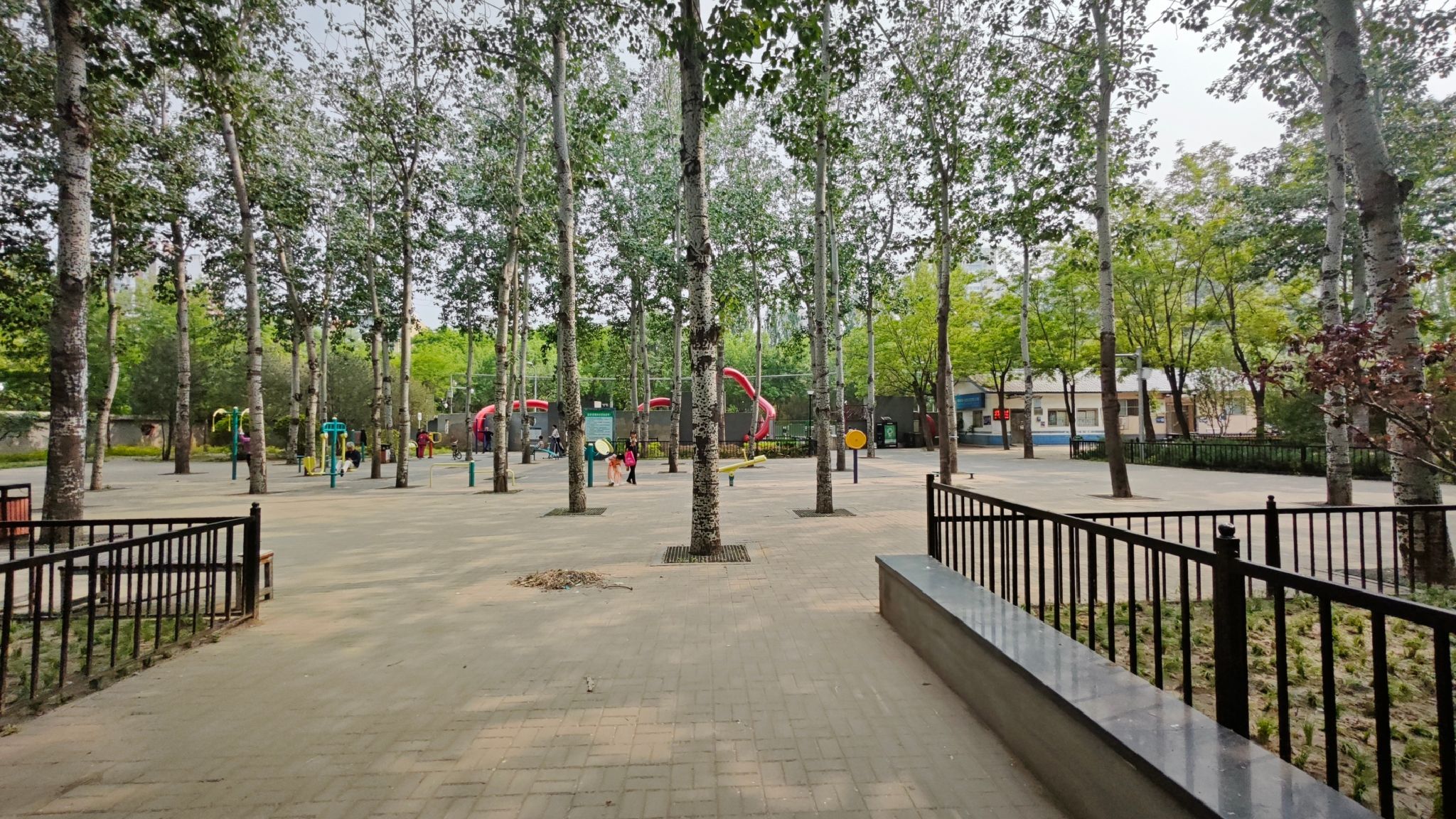 翠城公园旅行图片 2
