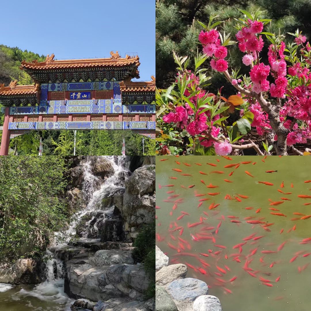 千灵山旅行图片 3