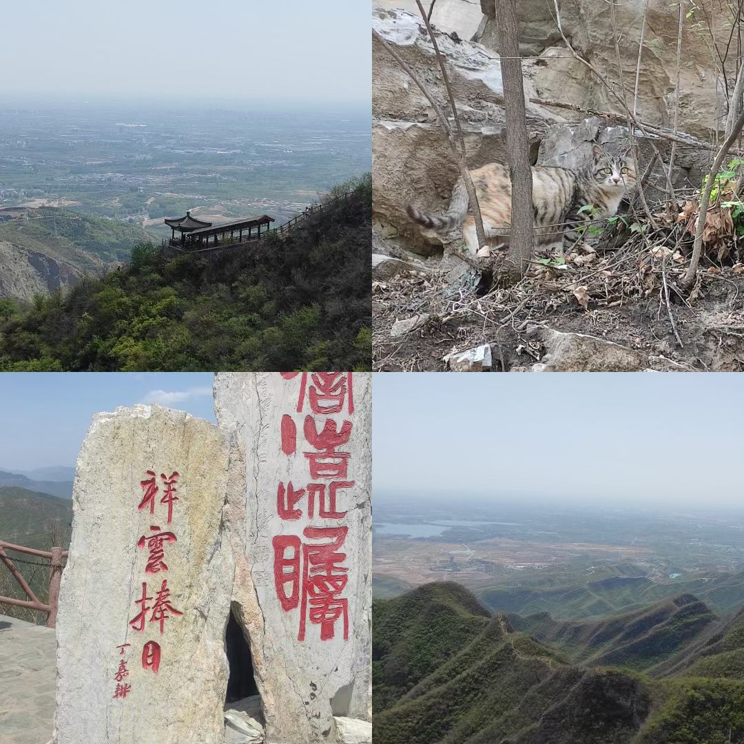千灵山旅行图片 1