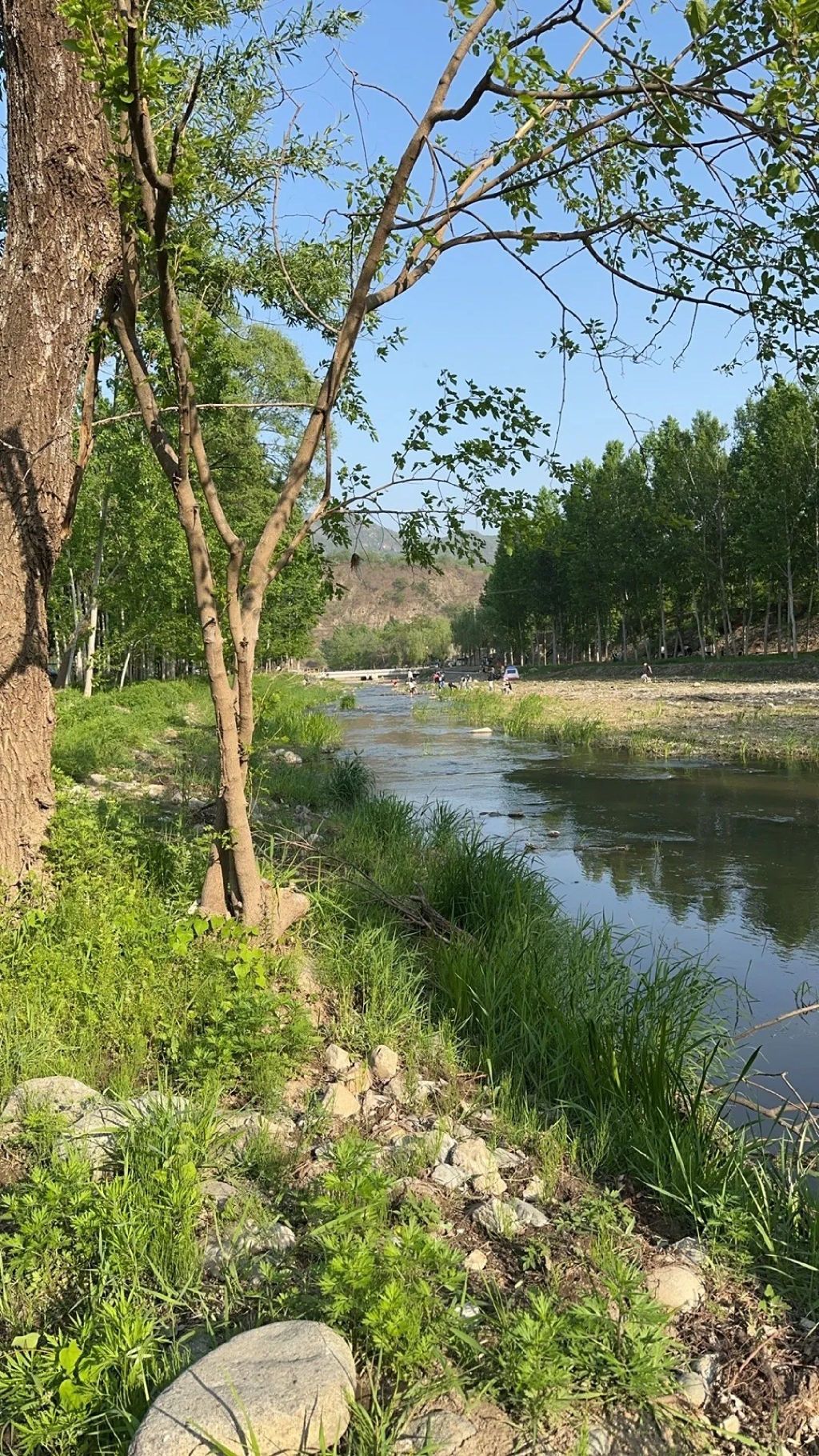 栗花溪谷旅行图片 1