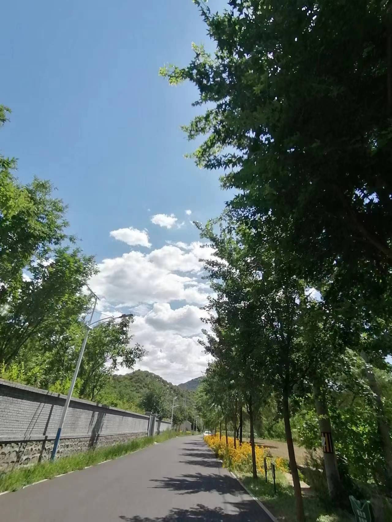 栗花溪谷旅行图片 1