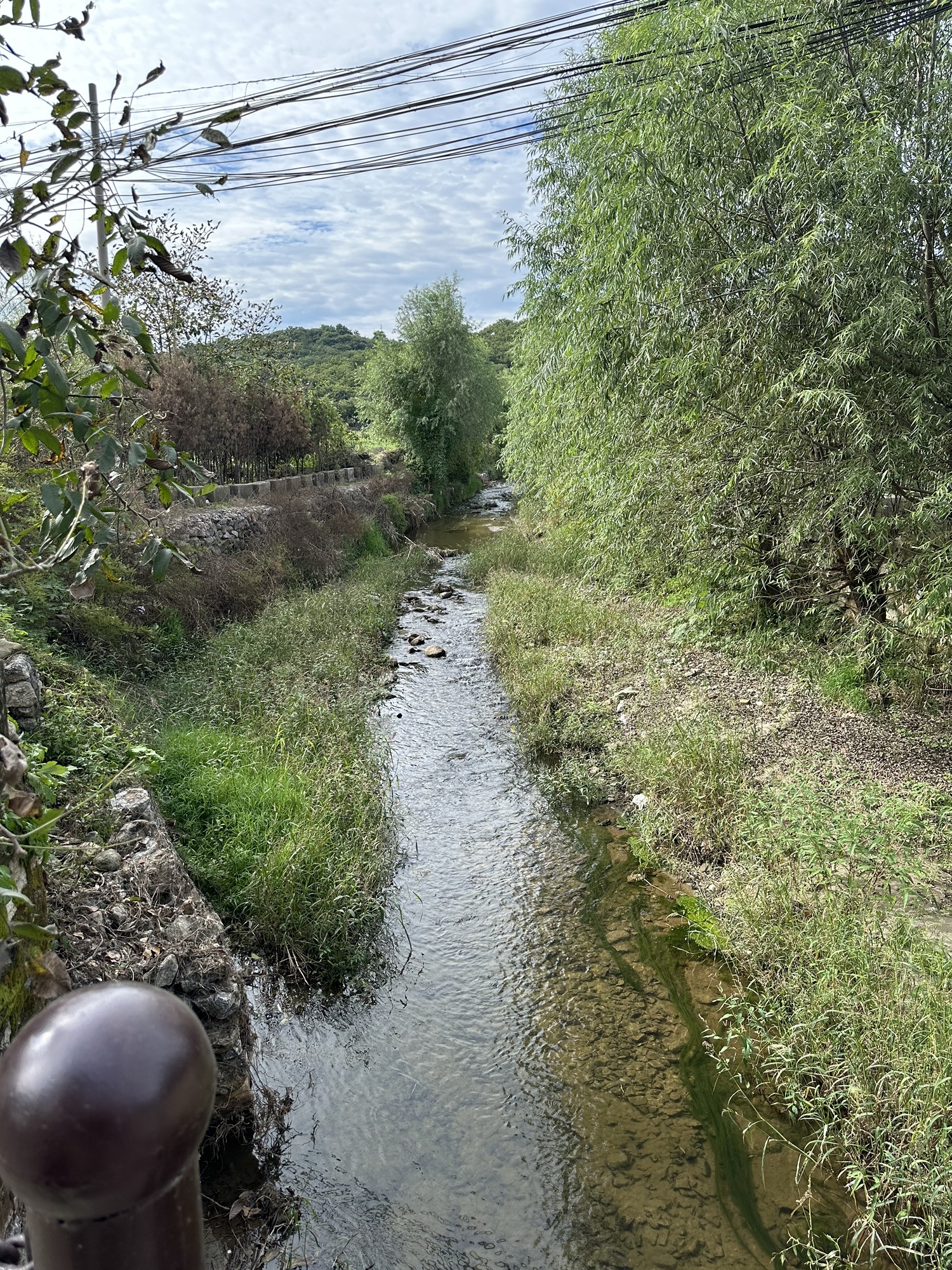栗花溪谷旅行图片 1