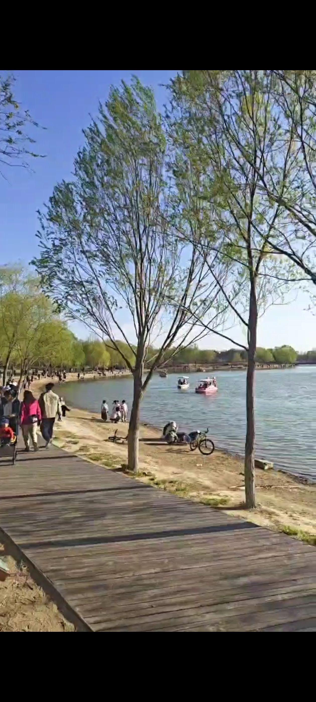 南海子公园旅行图片 3