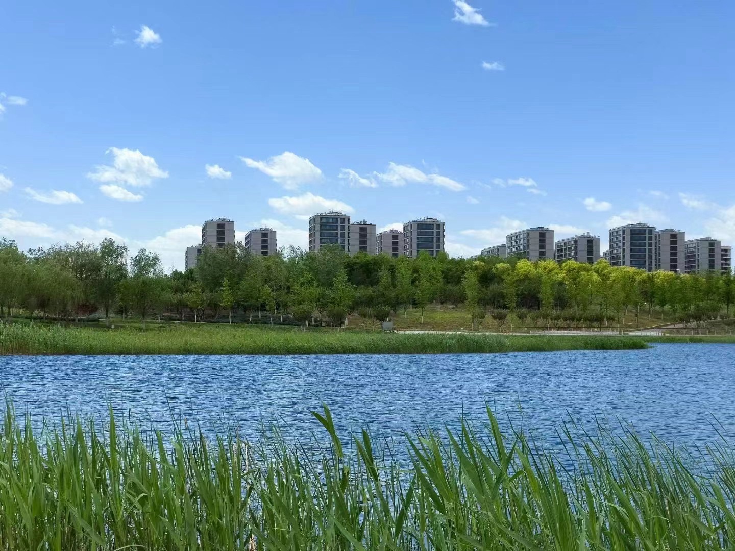 南海子公园旅行图片 2