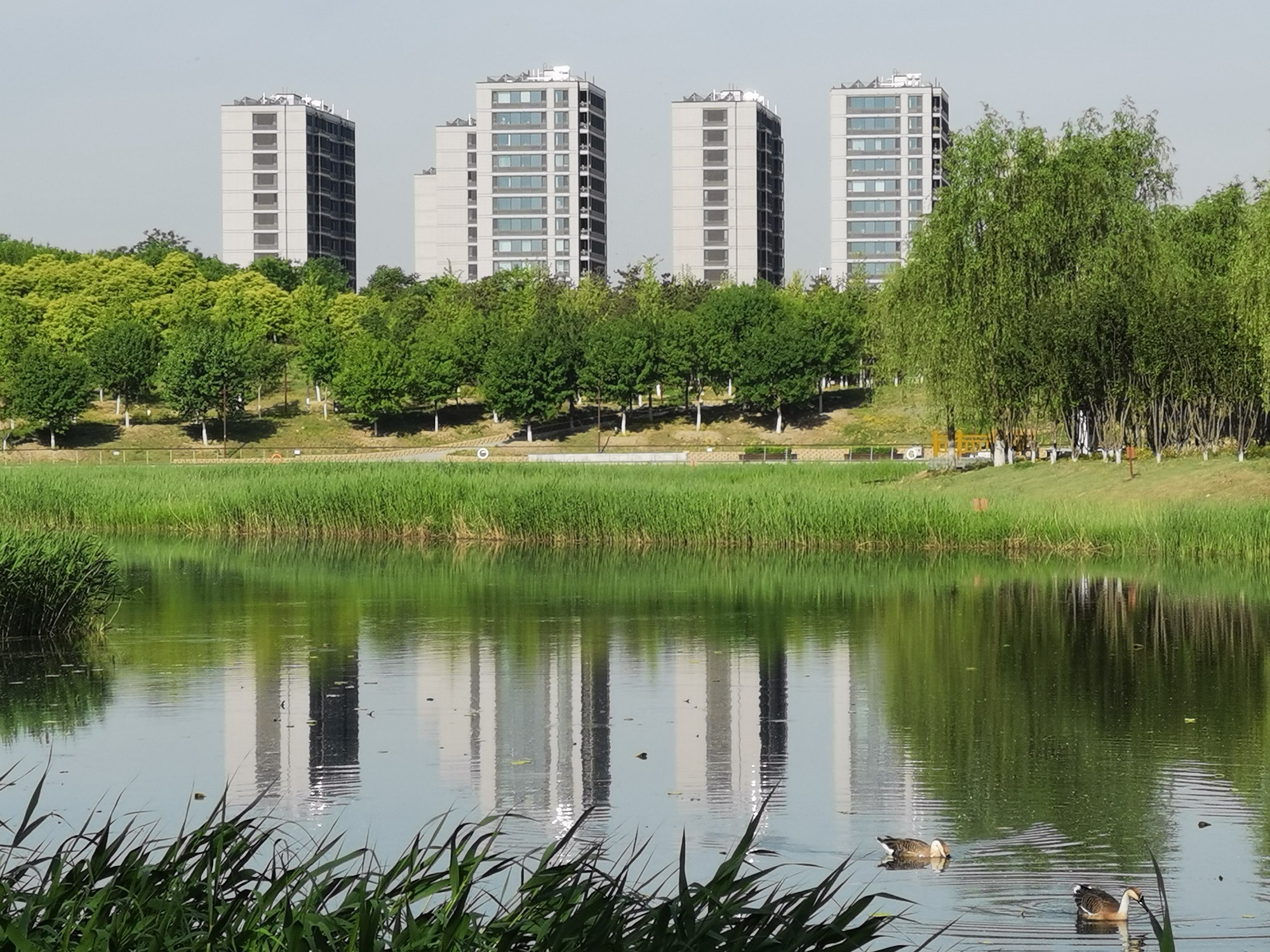 南海子公园旅行图片 1