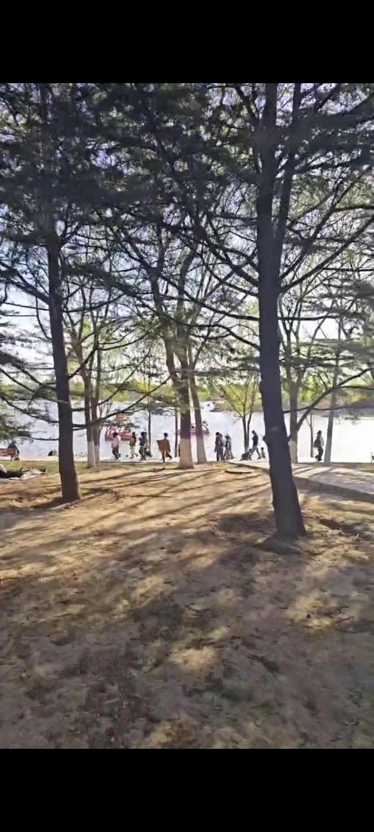 南海子公园旅行图片 2