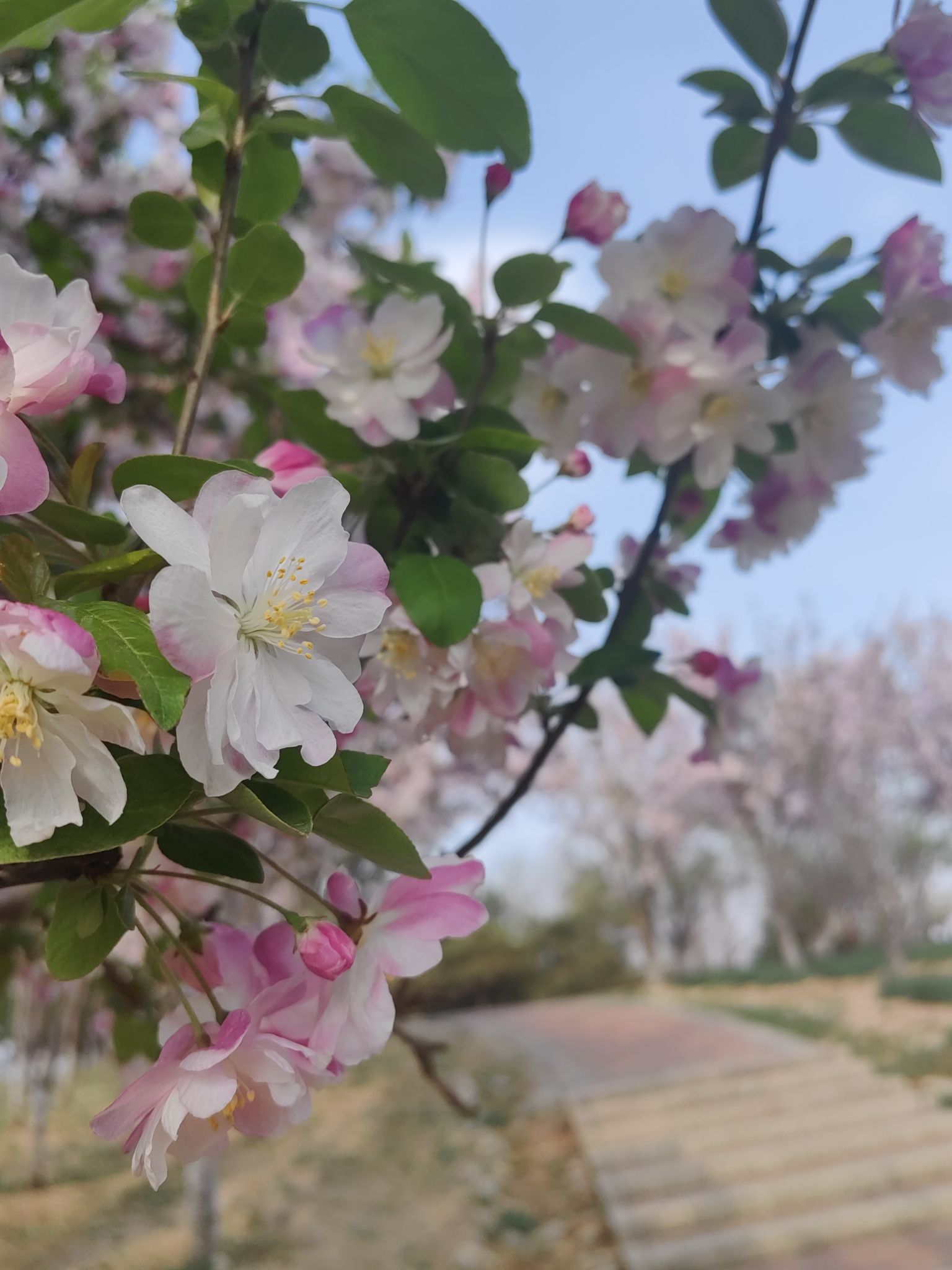 南海子公园旅行图片 1