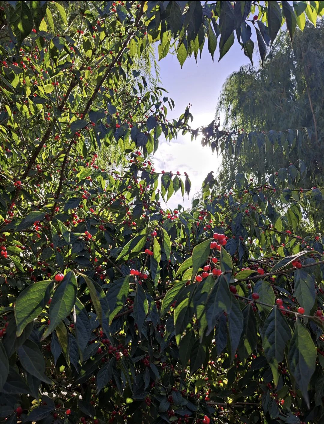 太阳宫体育休闲公园旅行图片 2