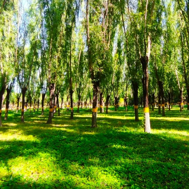 太阳宫体育休闲公园旅行图片 3