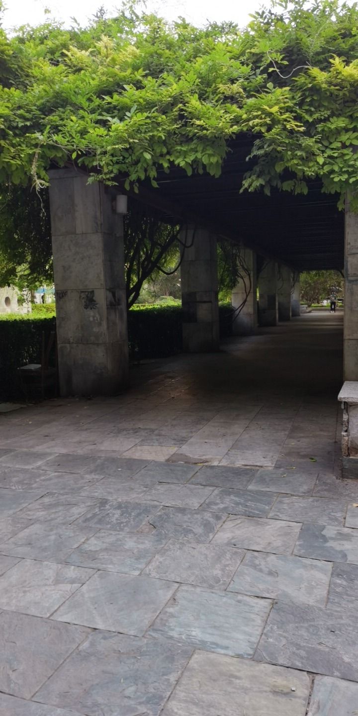 青年沟公园旅行图片