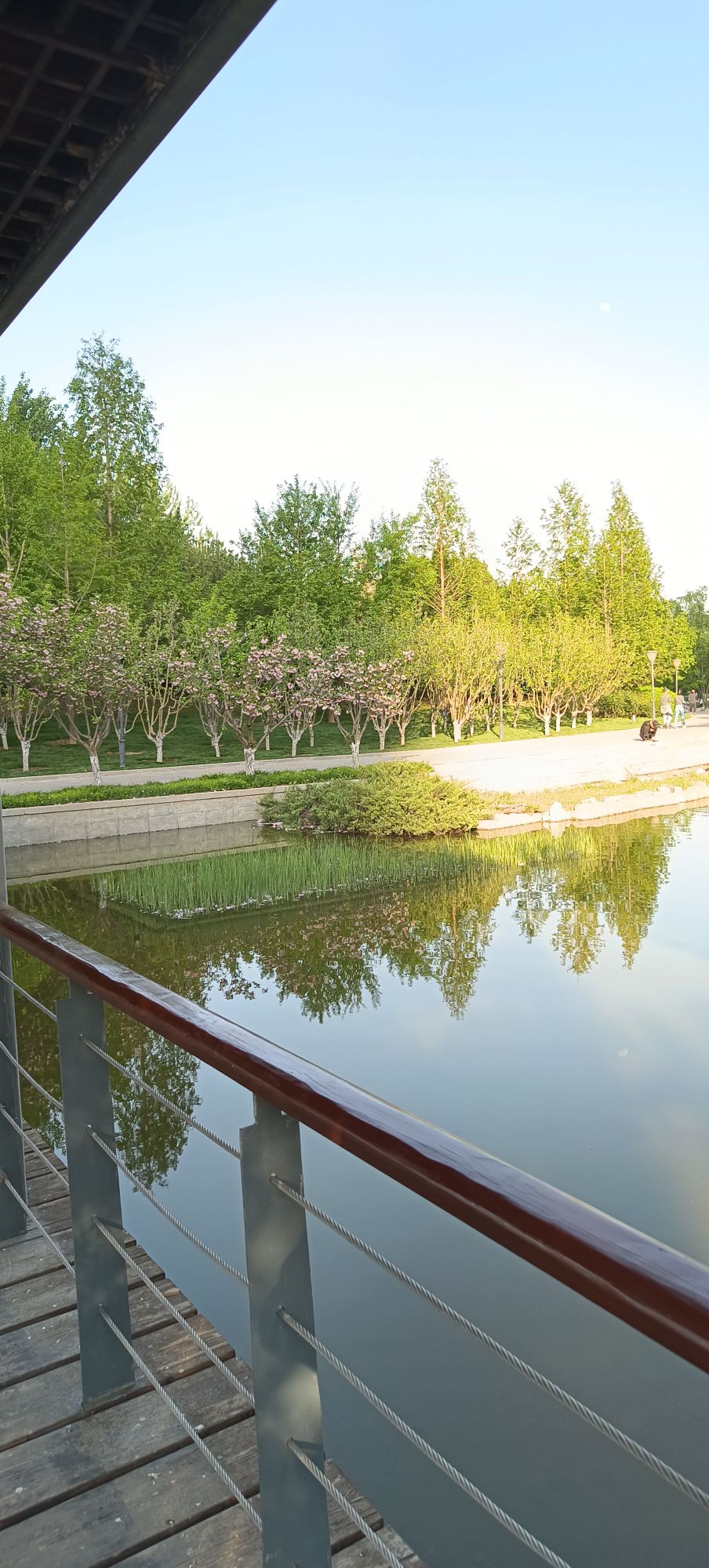 大望京公园旅行图片 3