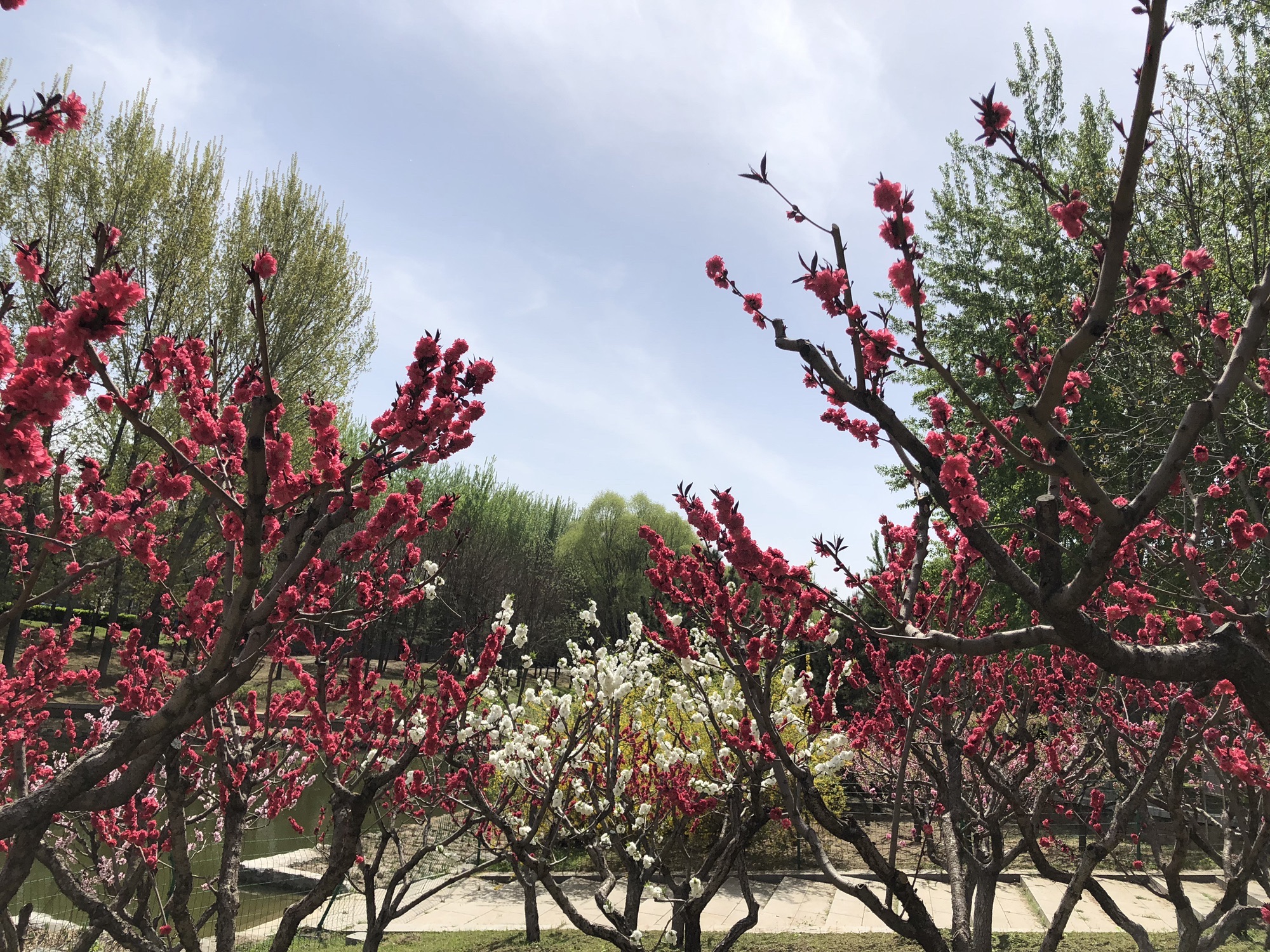 大望京公园旅行图片 3