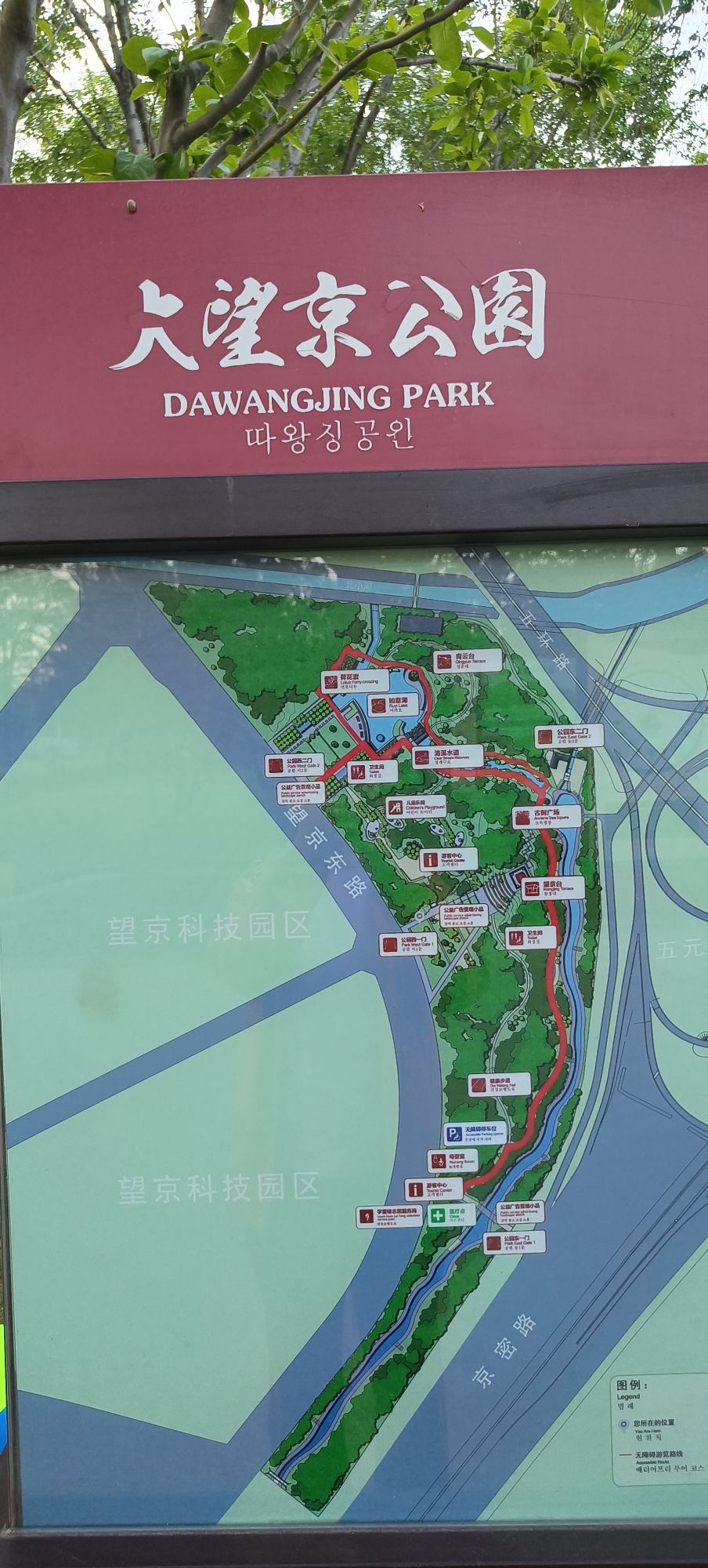 大望京公园旅行图片 1