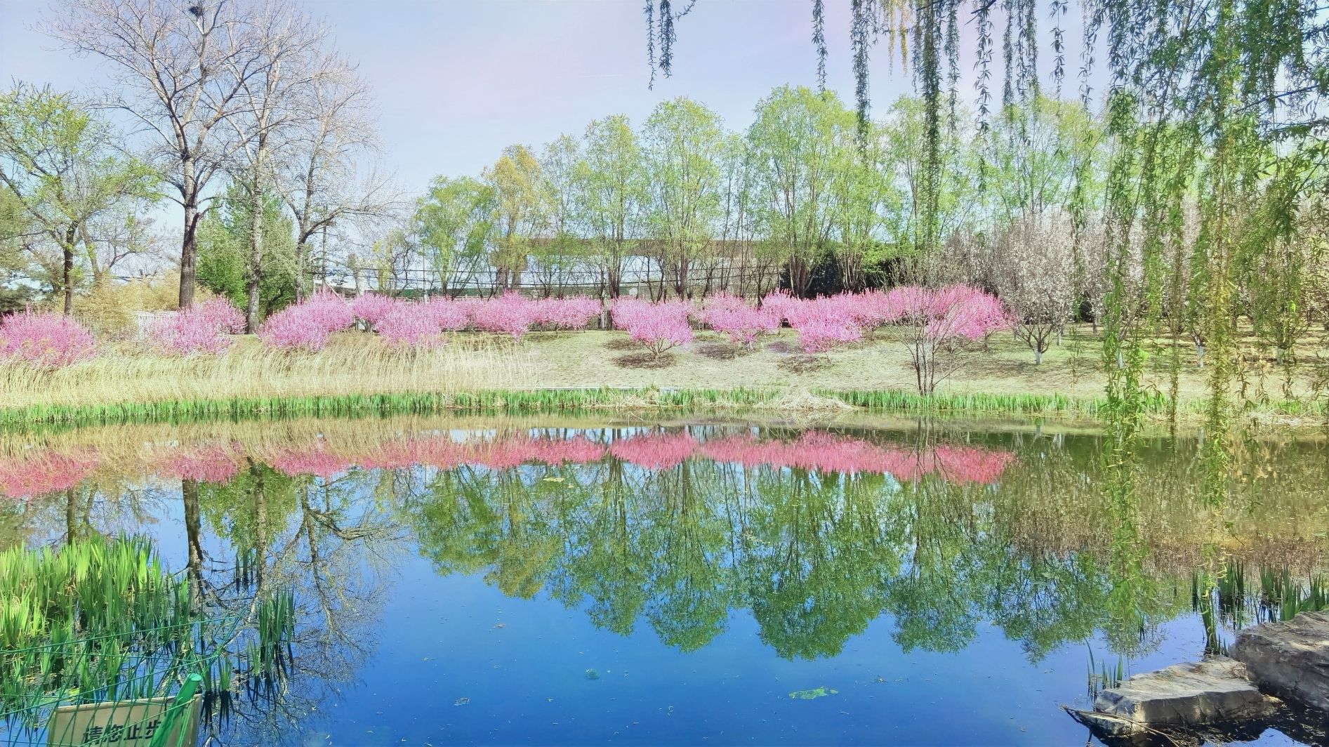 大望京公园旅行图片 1