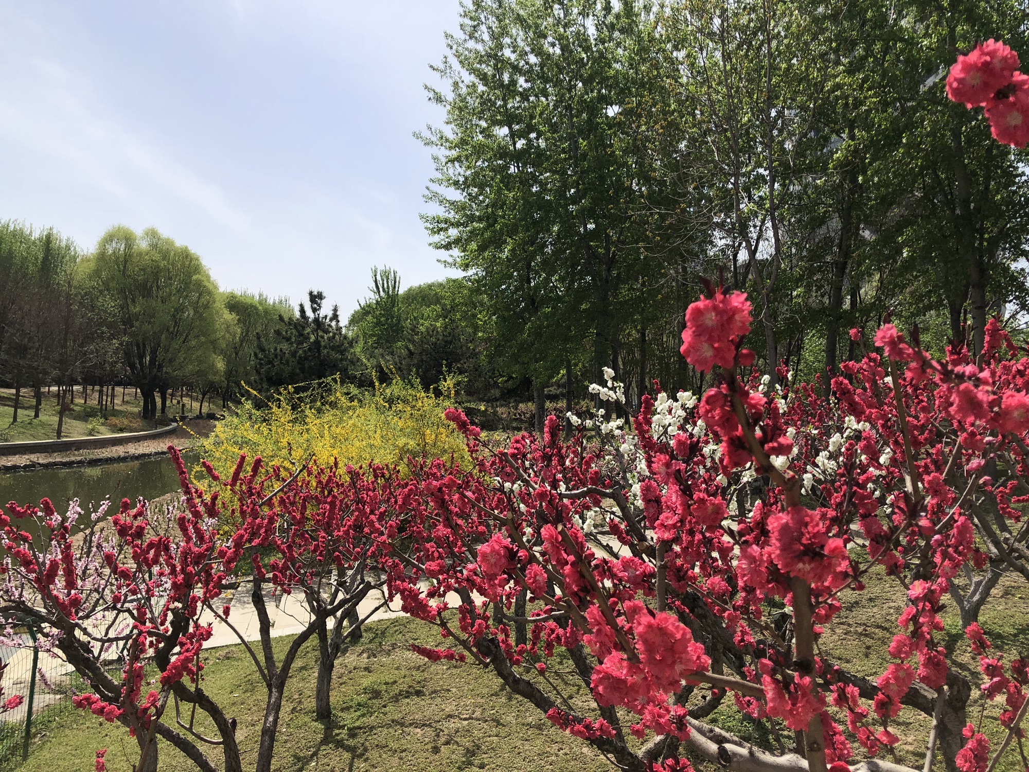 大望京公园旅行图片 2