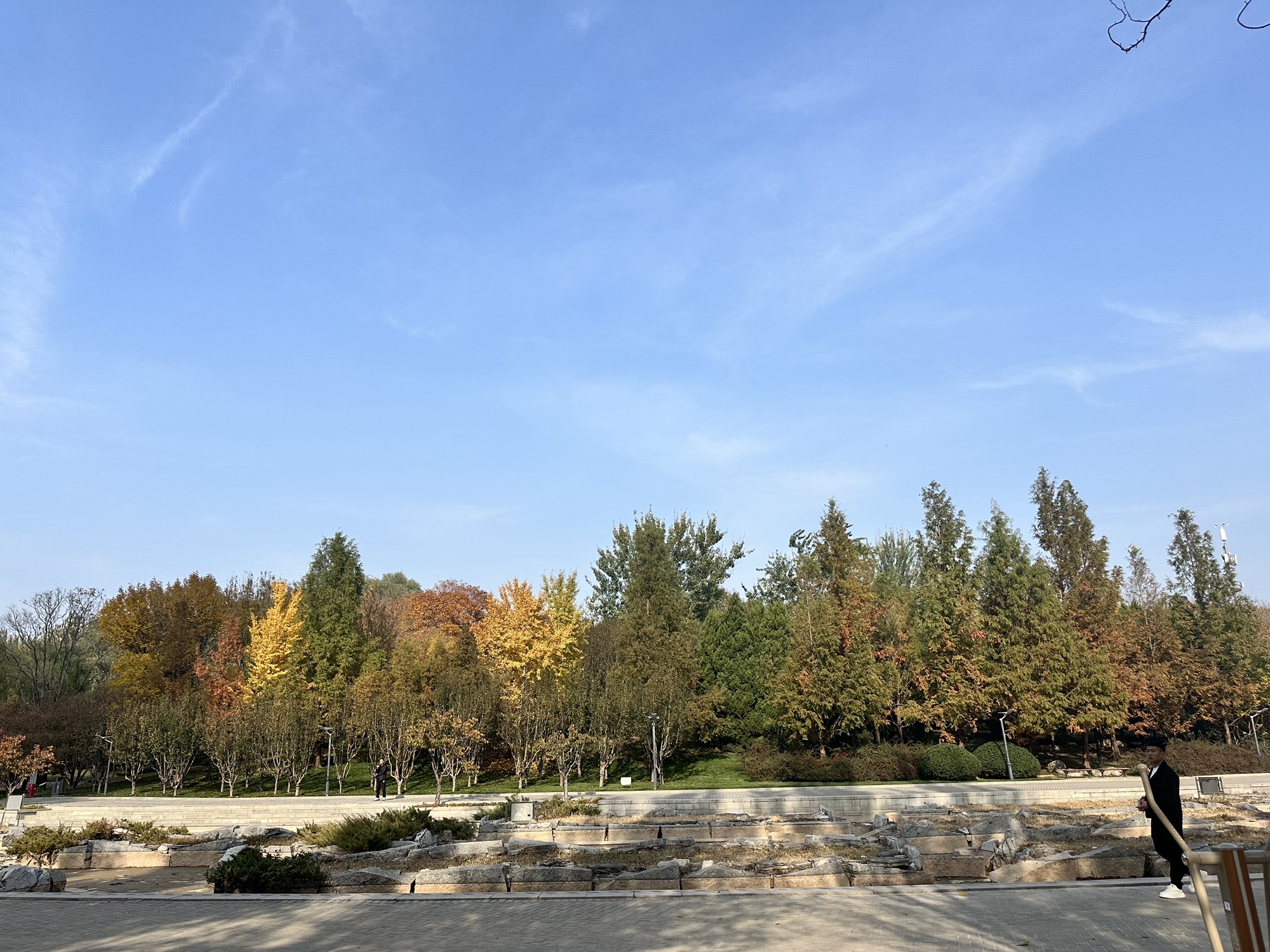 大望京公园旅行图片 3