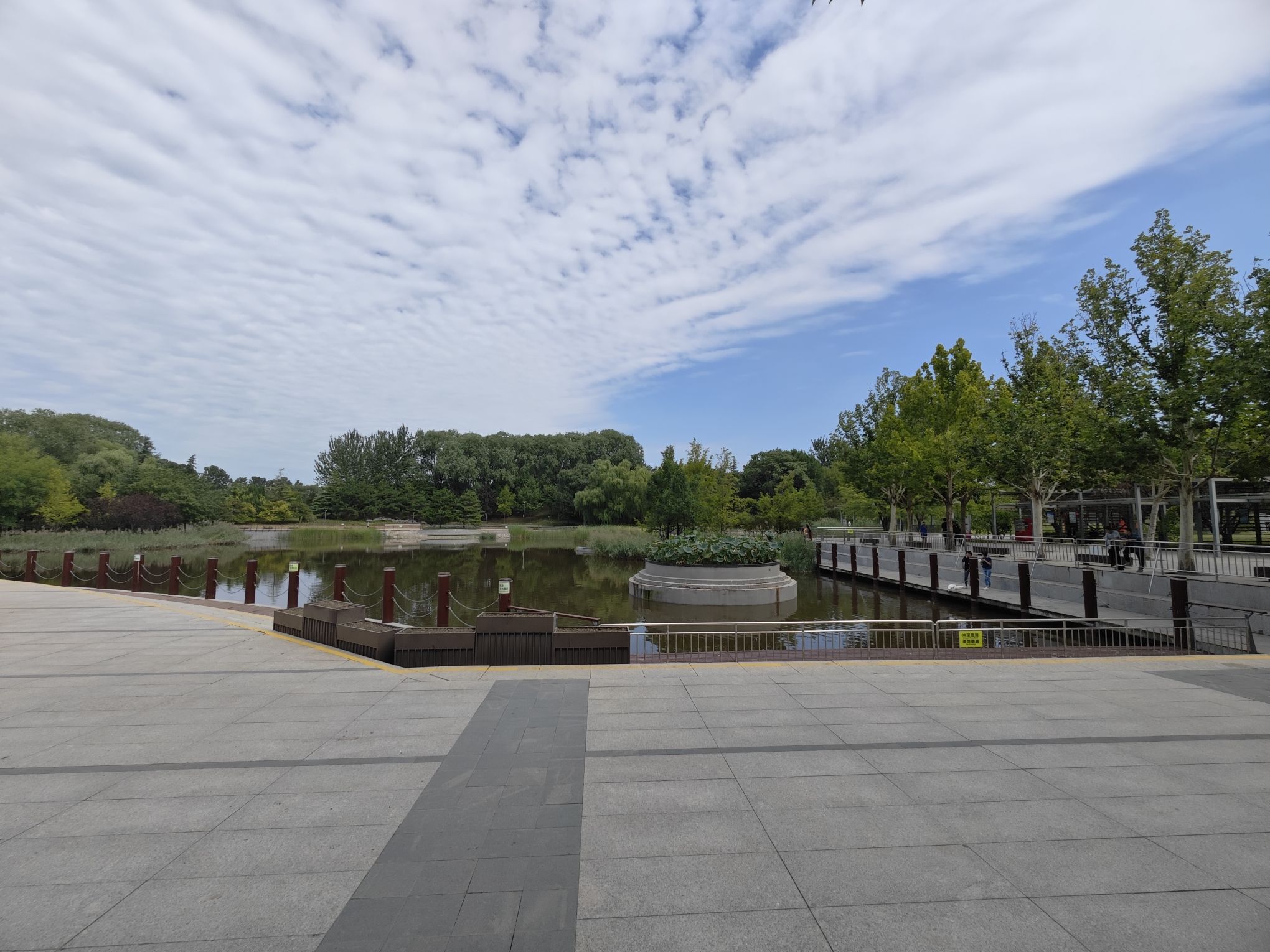 大望京公园旅行图片 1