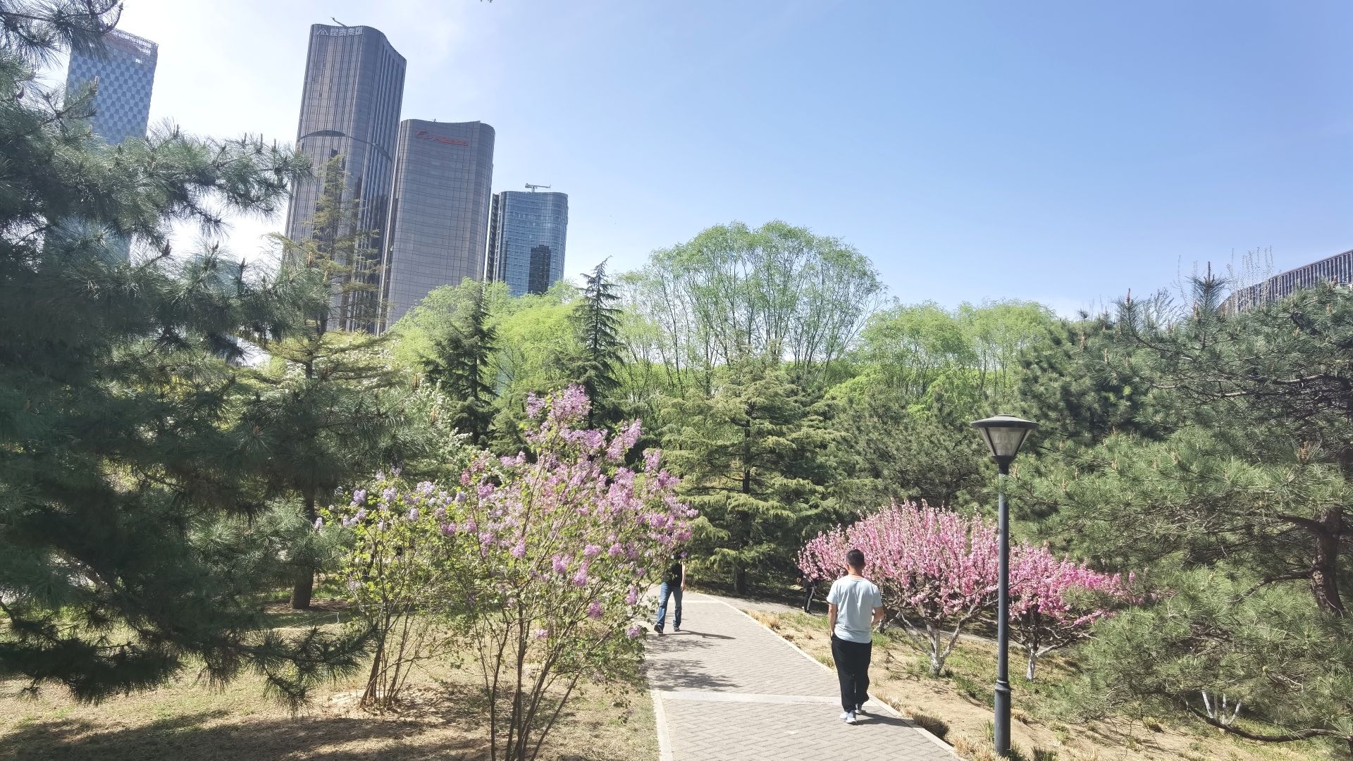 大望京公园旅行图片 3