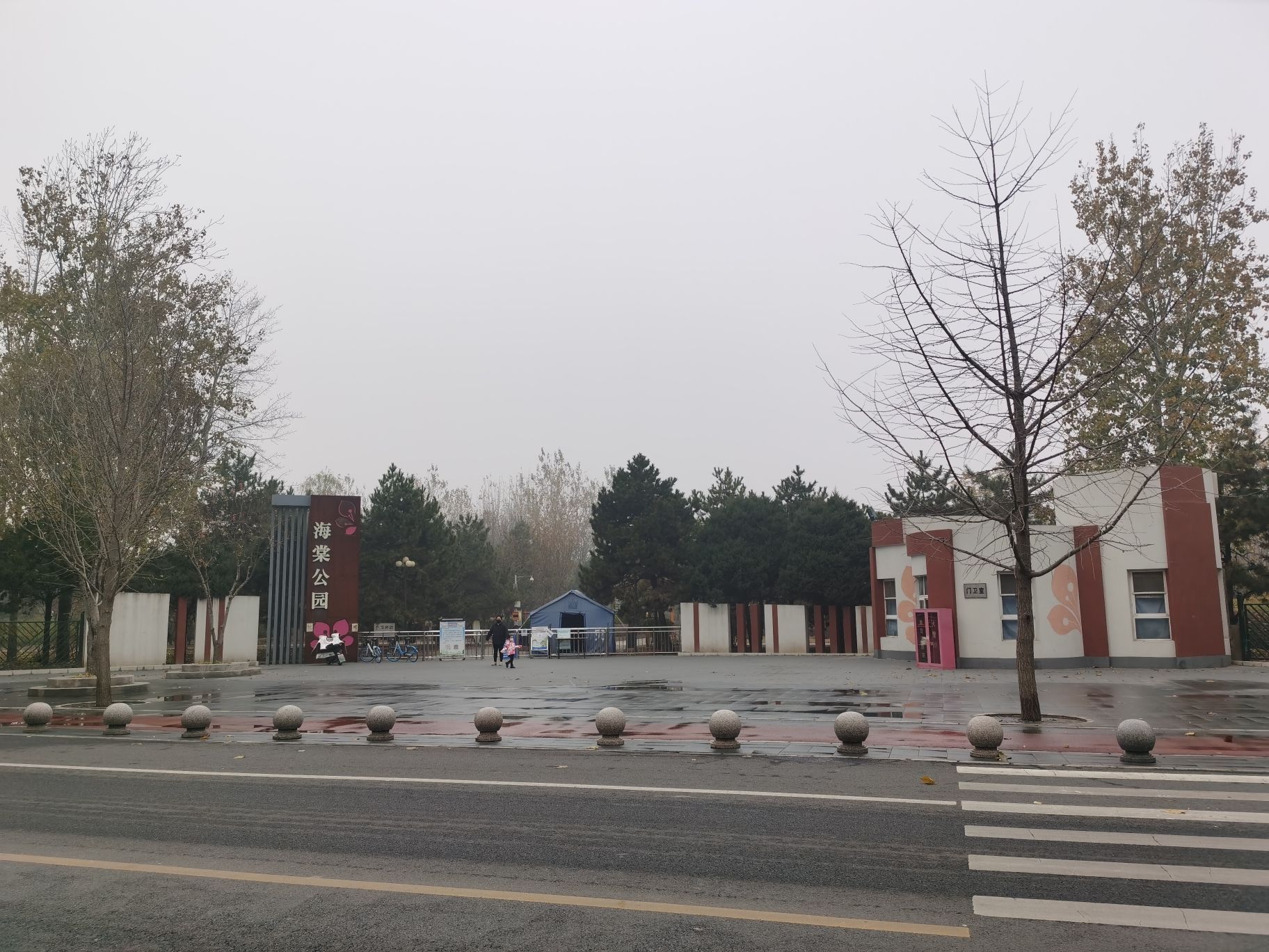 海棠公园旅行图片 2