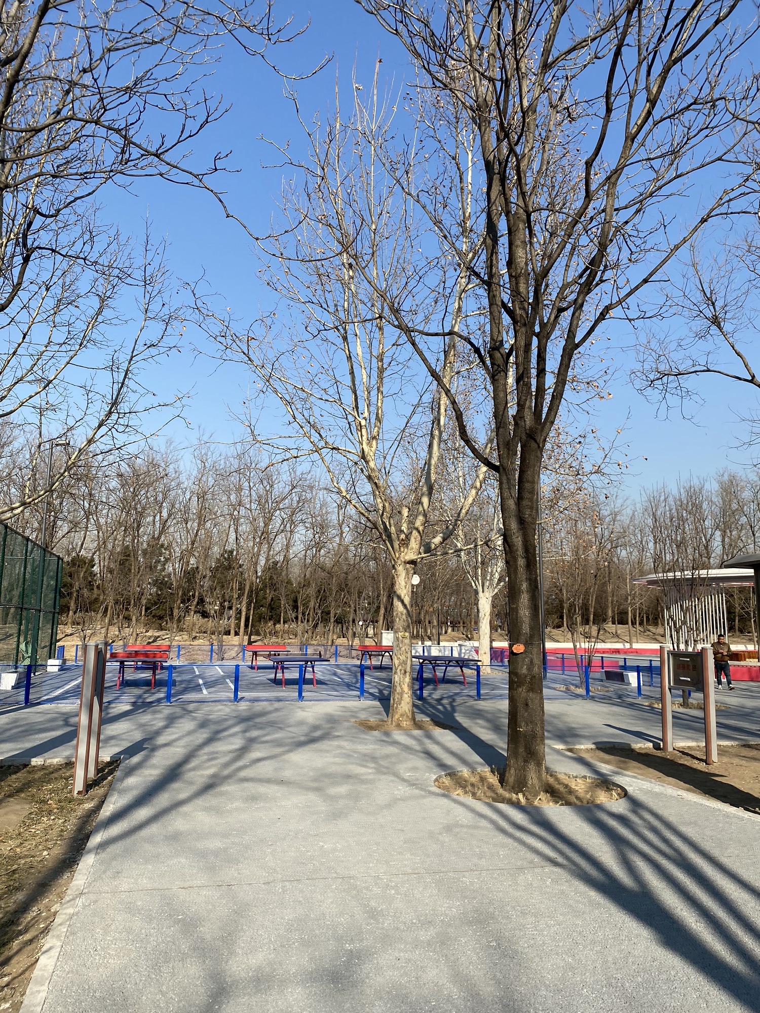 海棠公园旅行图片 3