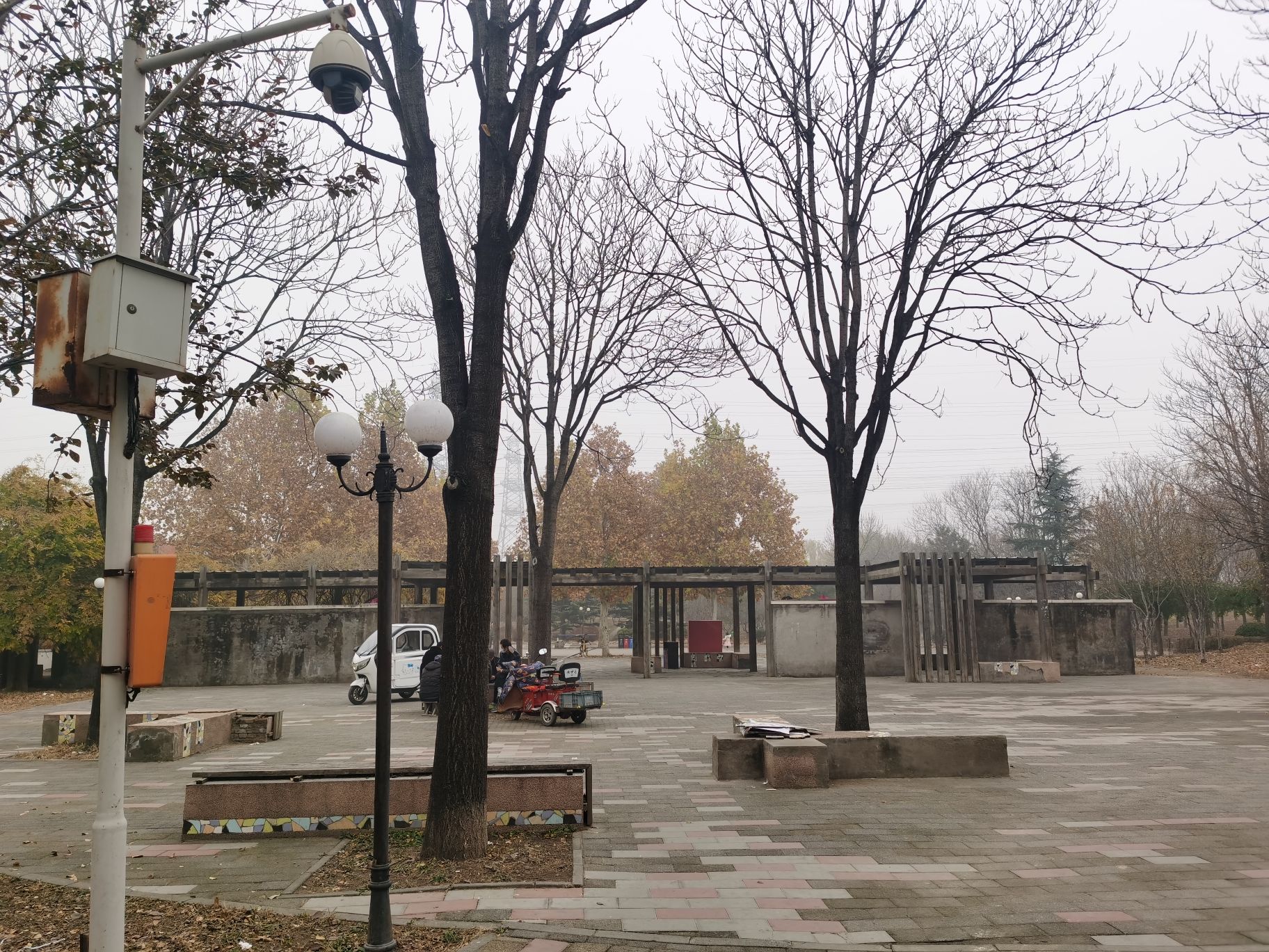 海棠公园旅行图片 3