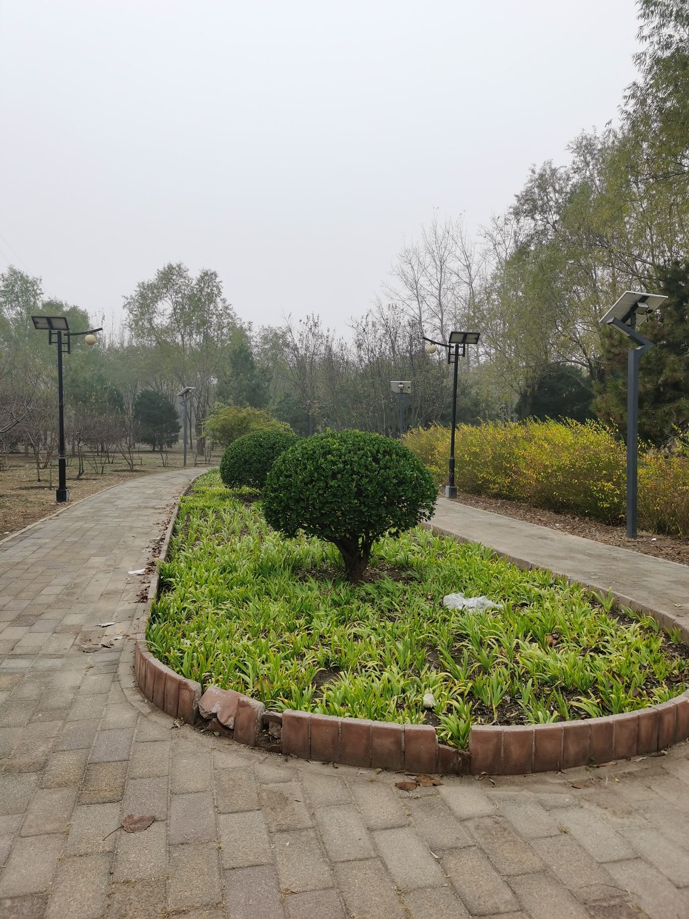 海棠公园旅行图片 1
