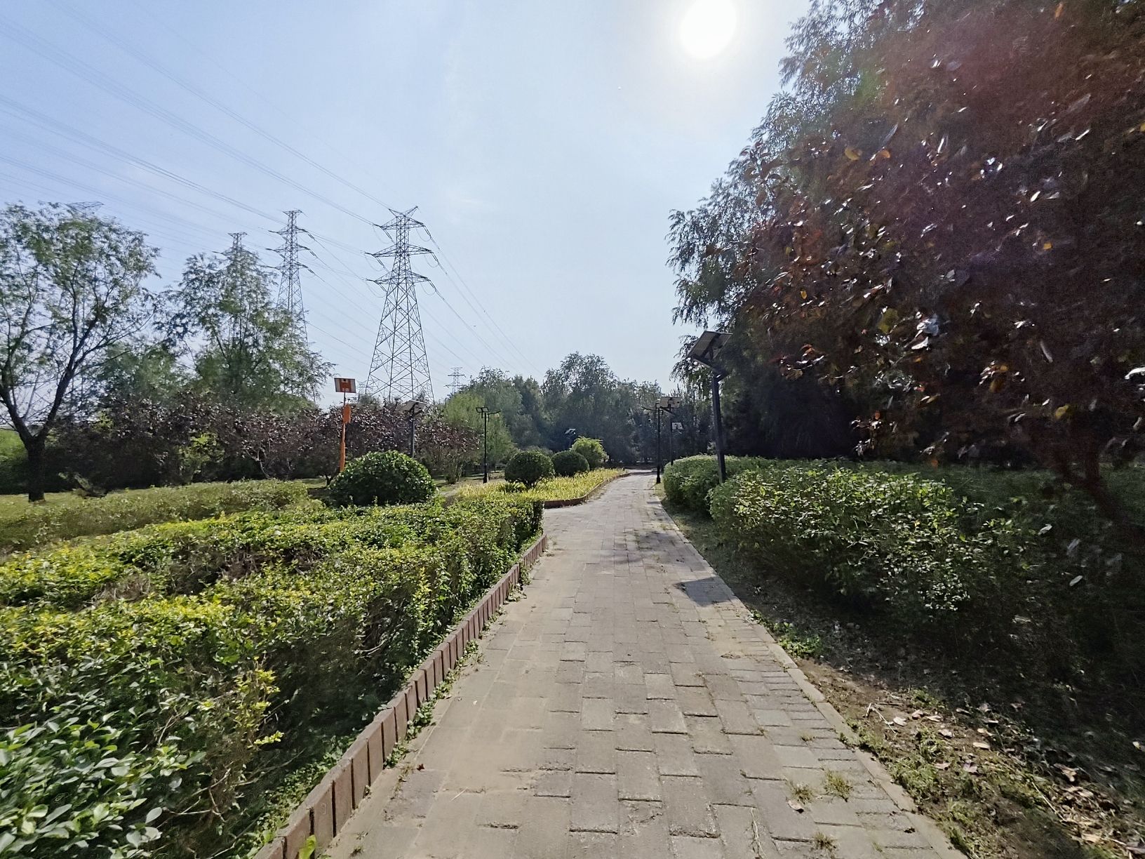 海棠公园旅行图片 2