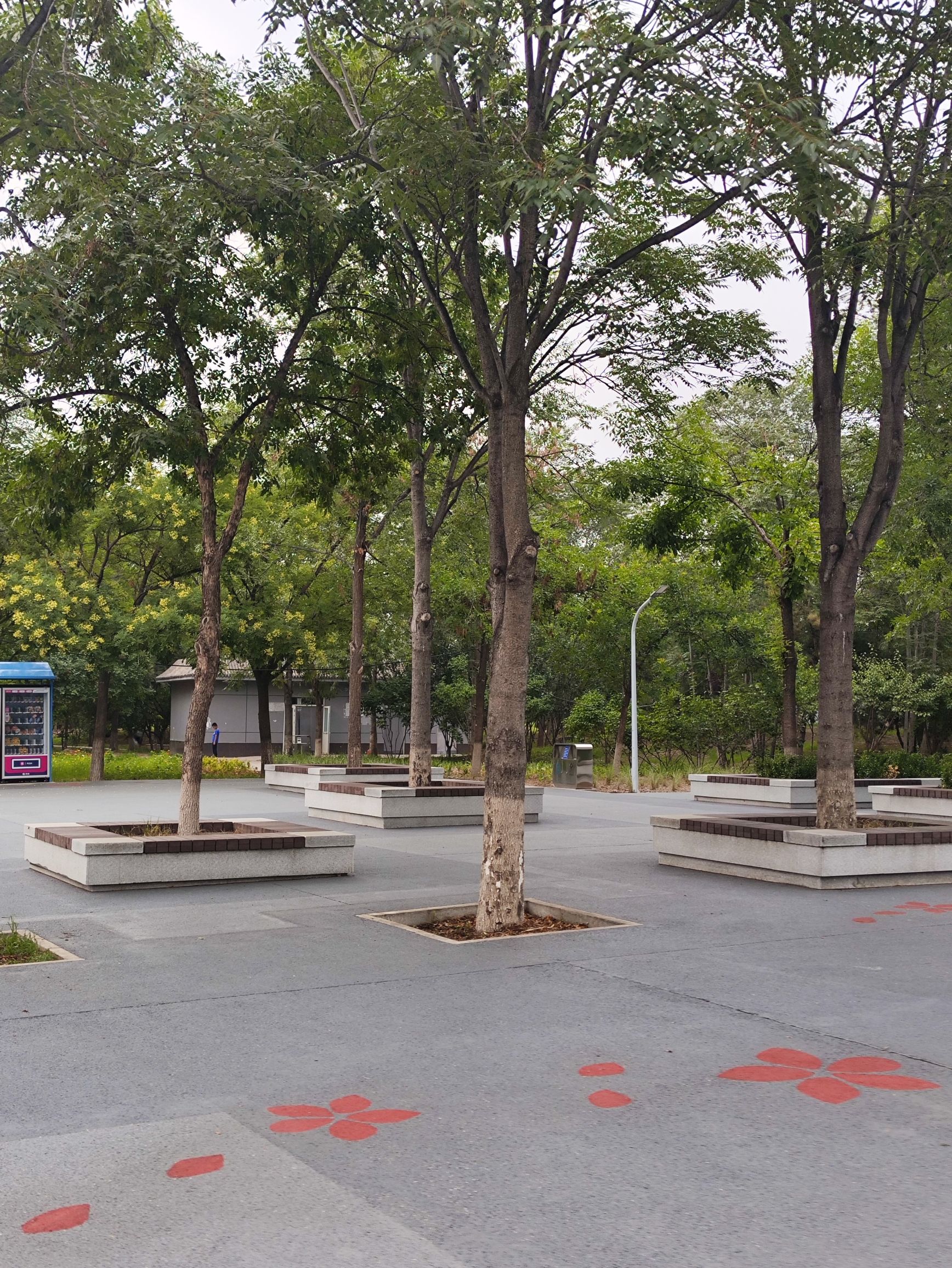 绿堤公园旅行图片 3