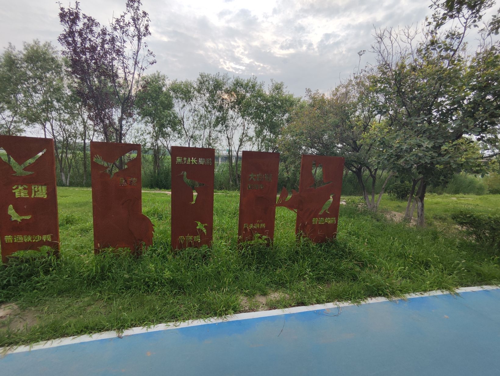 绿堤公园旅行图片 2