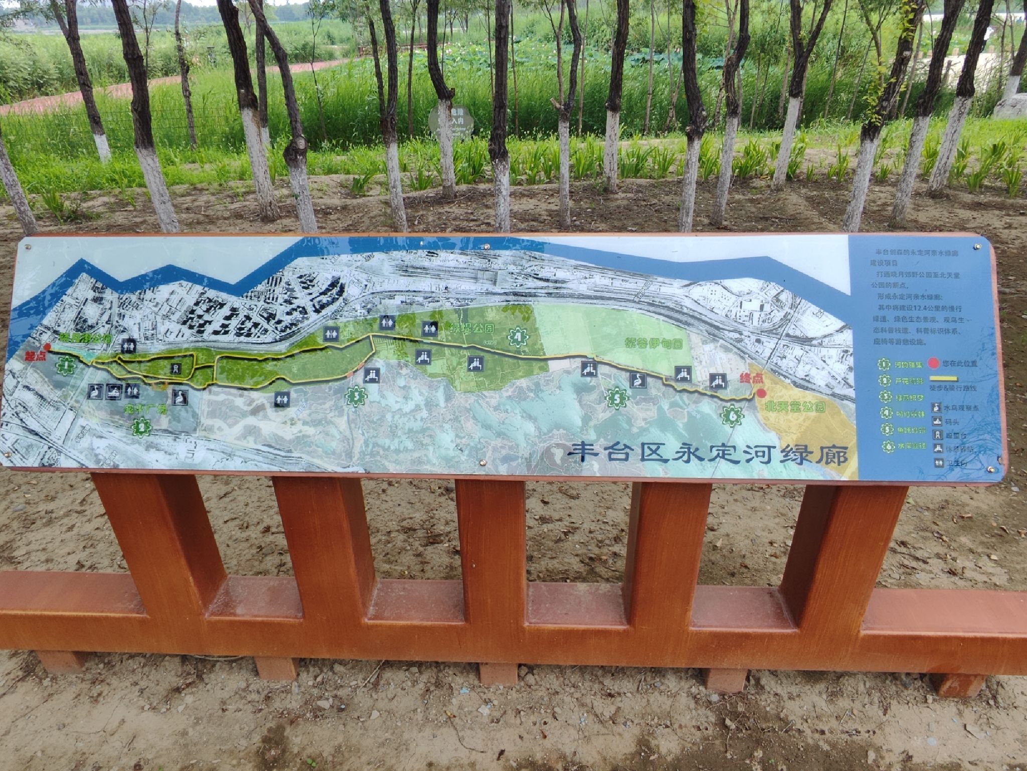 绿堤公园旅行图片 1