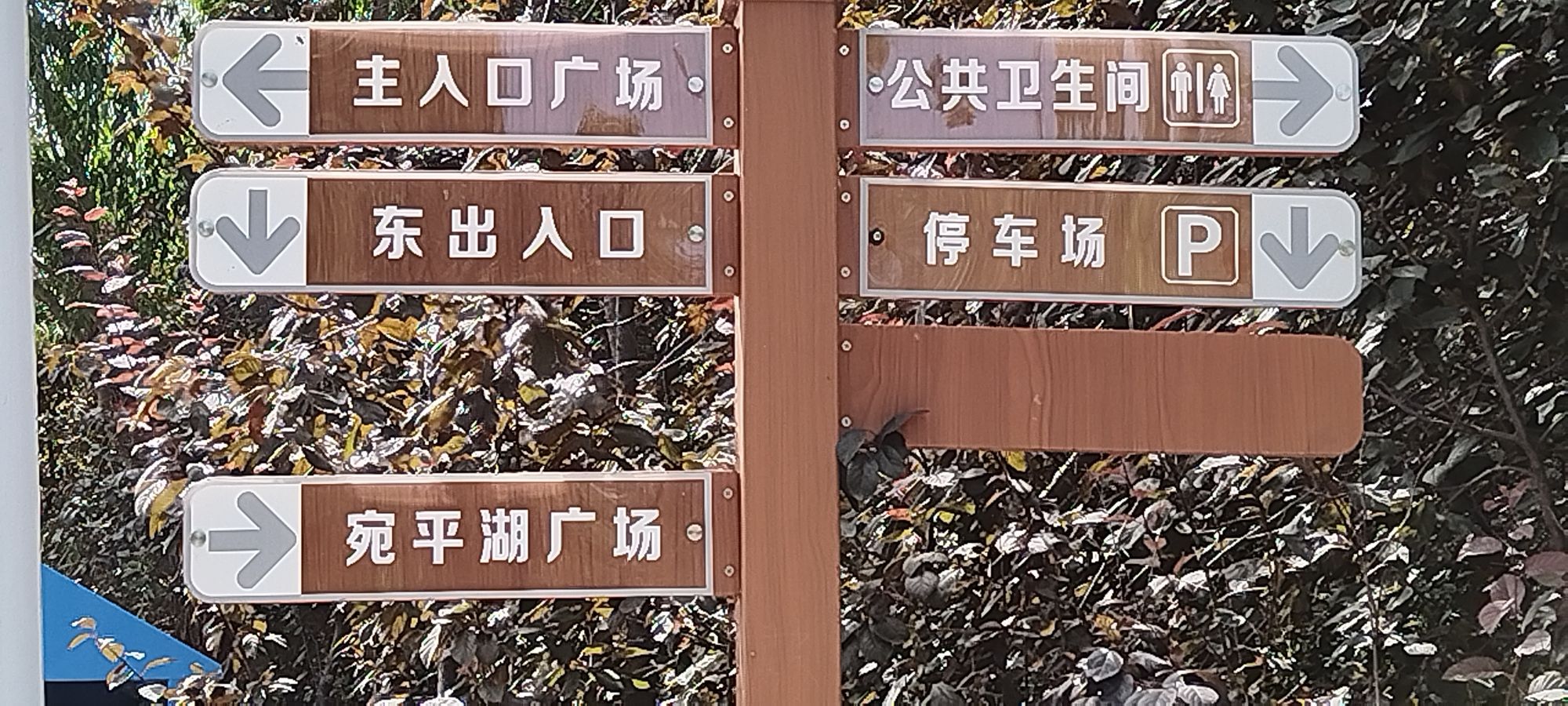 绿堤公园旅行图片 3