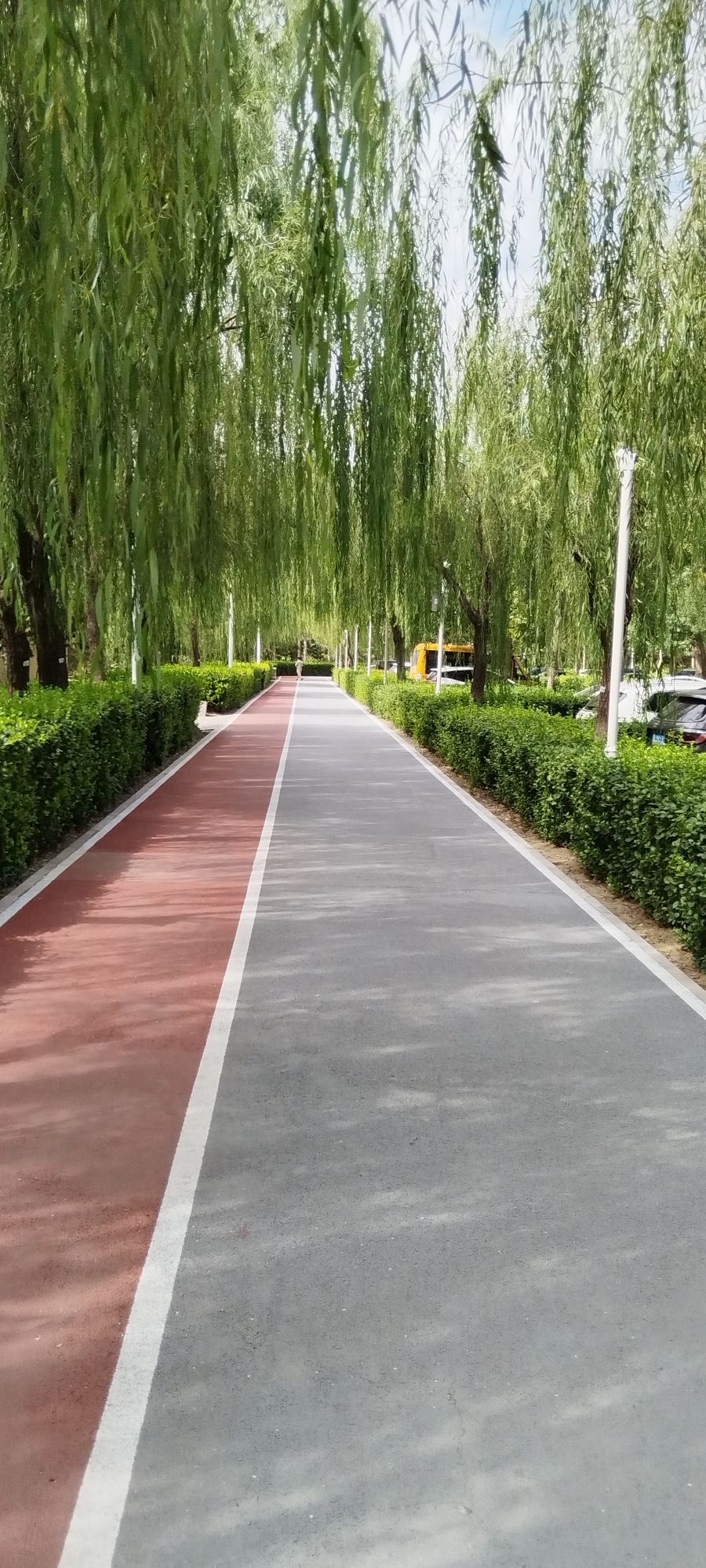 绿堤公园旅行图片 2