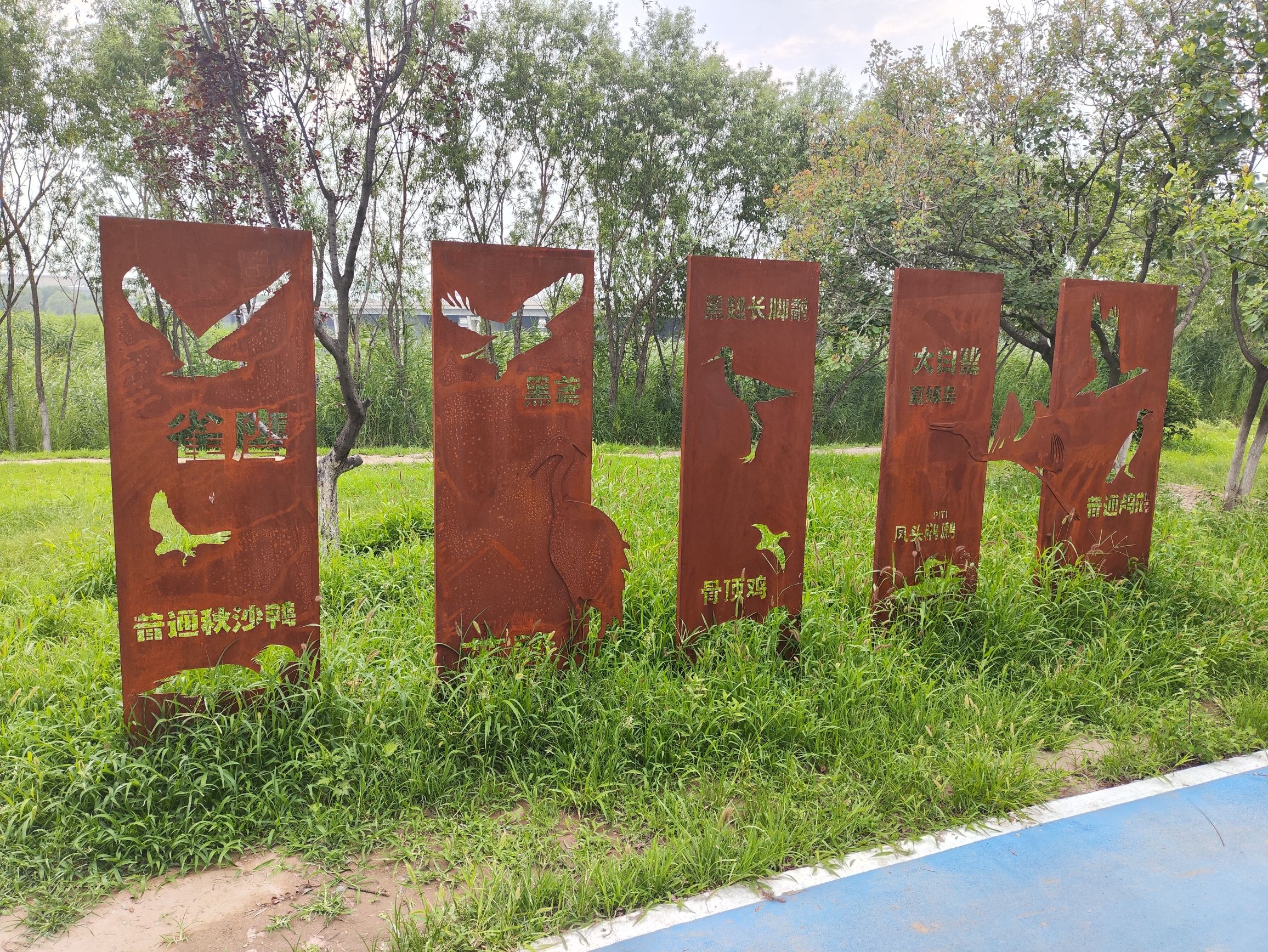 绿堤公园旅行图片 1