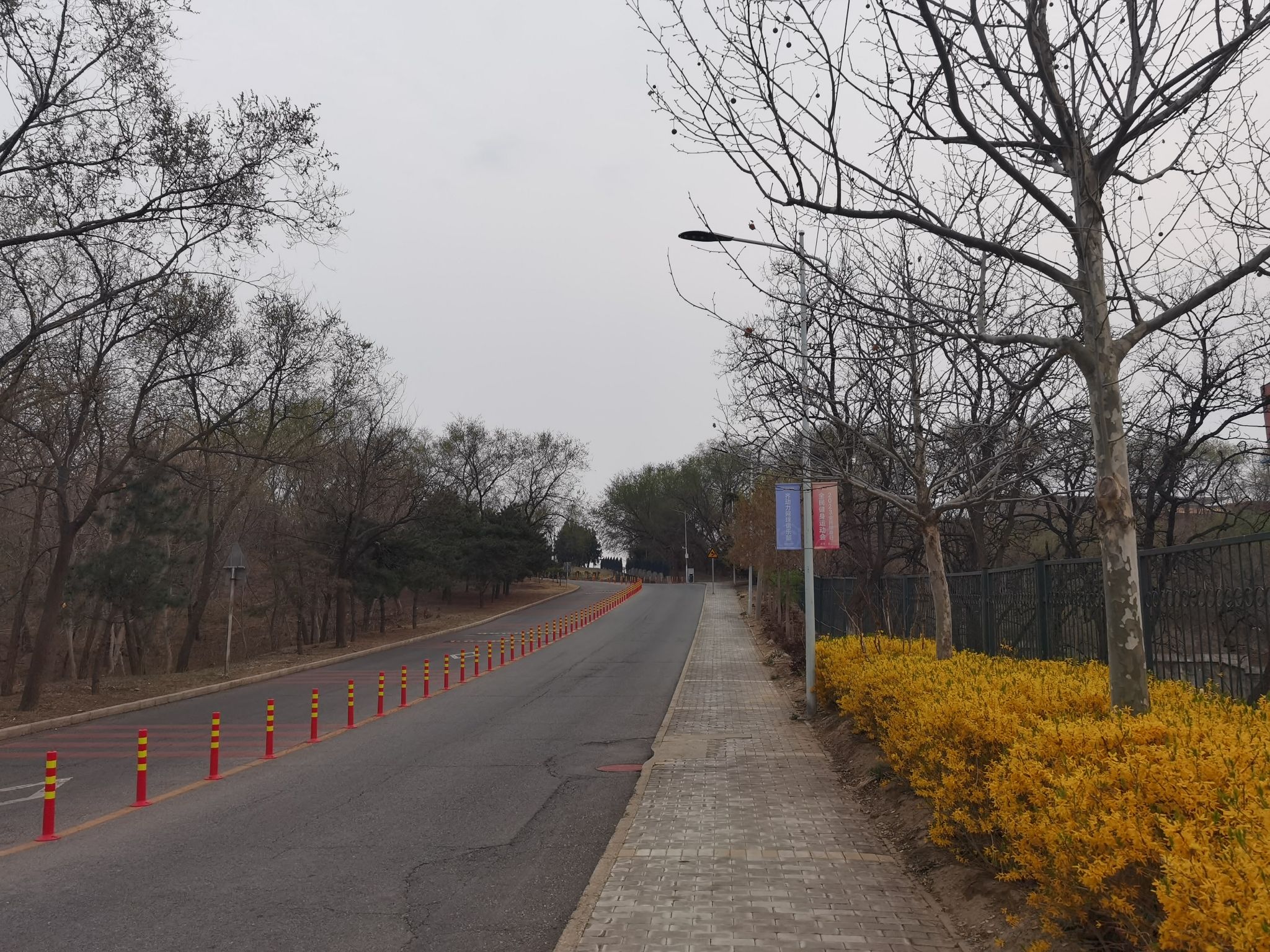 老山城市休闲公园旅行图片 3