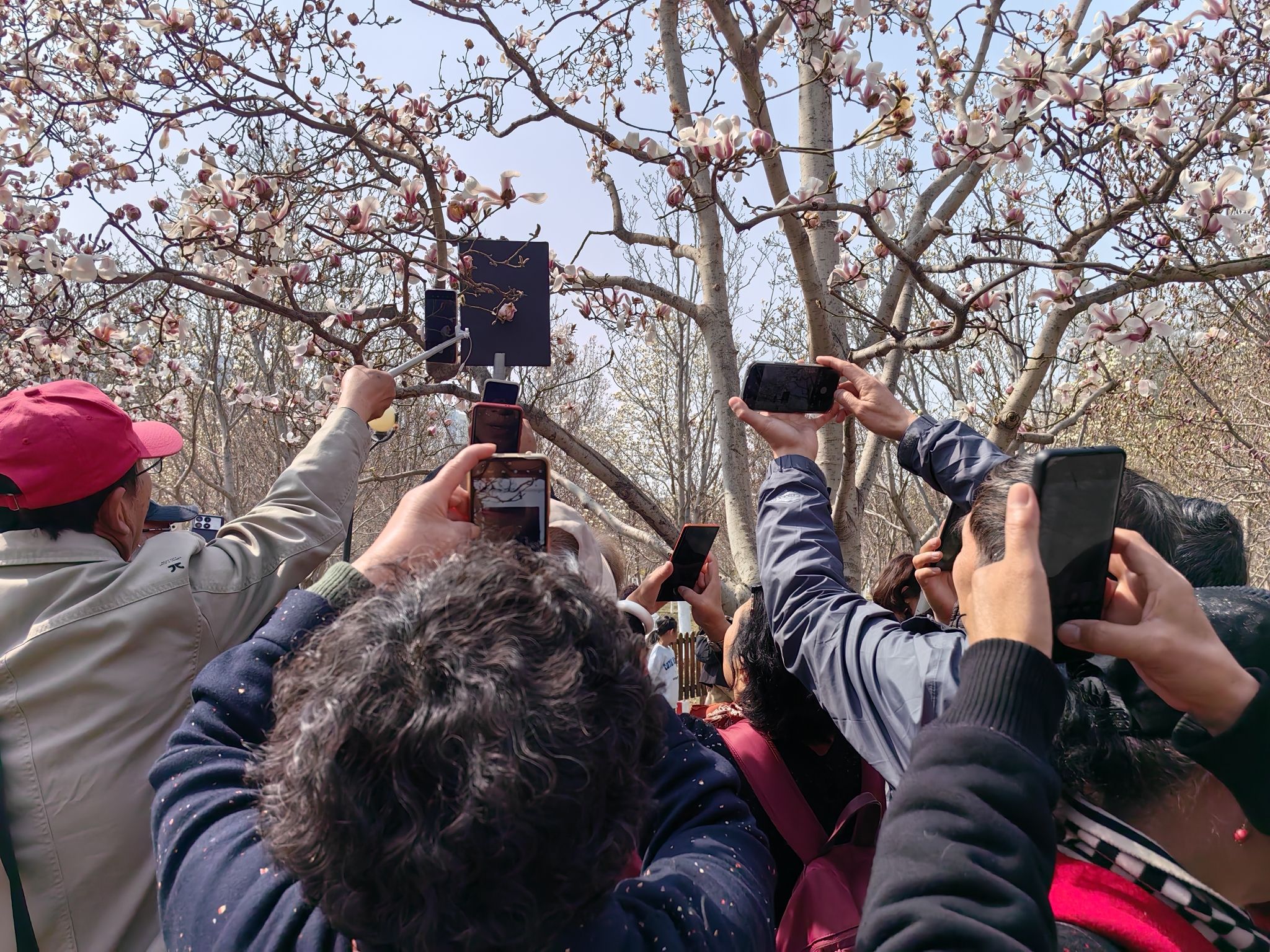 老山城市休闲公园旅行图片 3