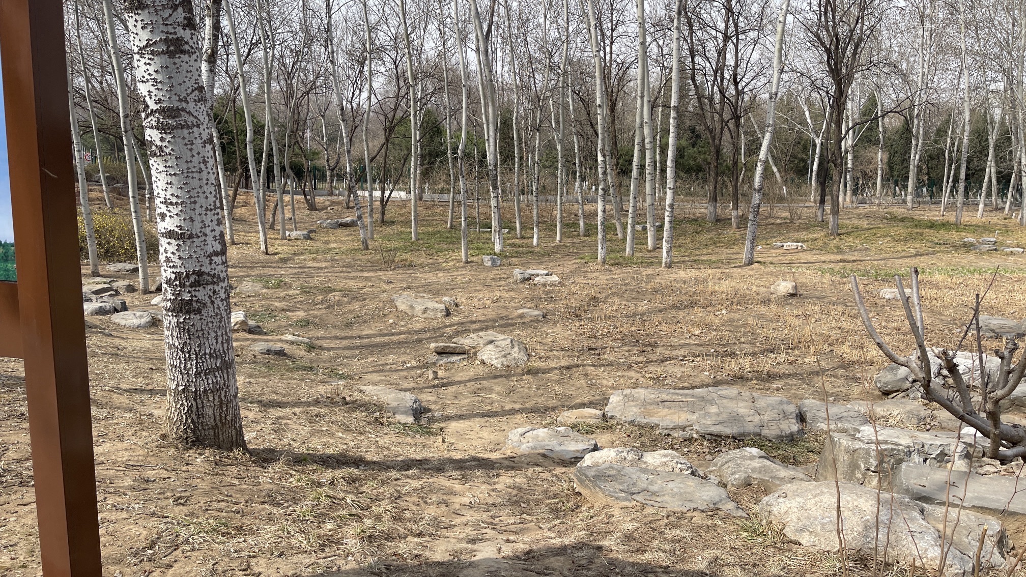 老山城市休闲公园旅行图片 1