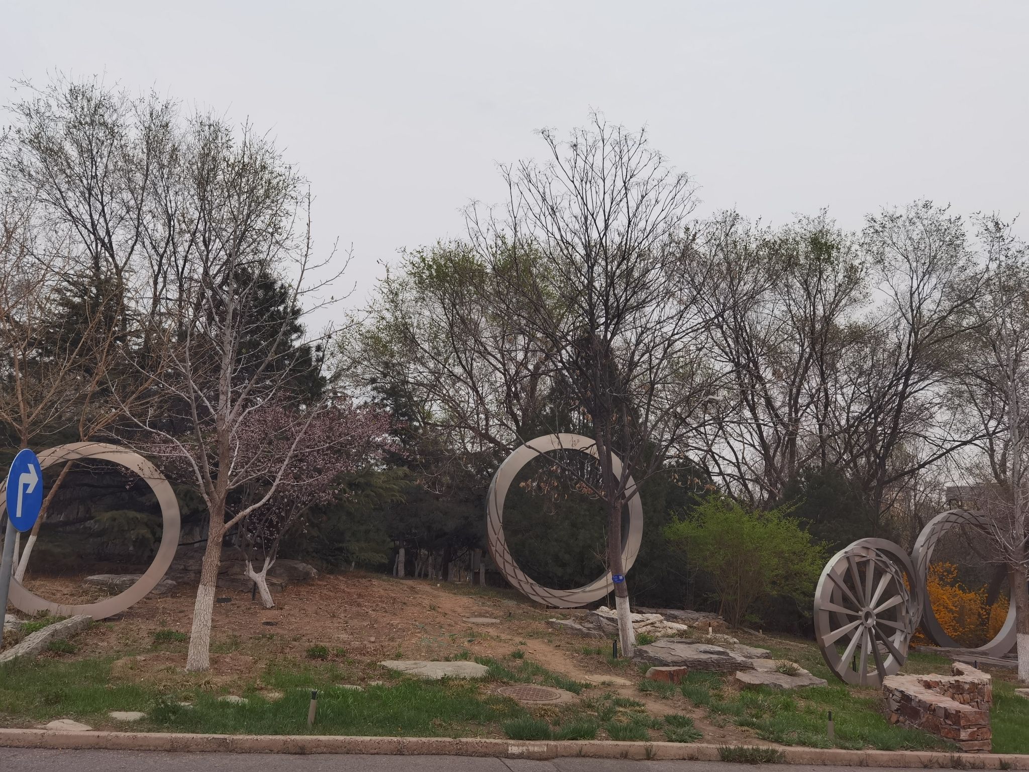 老山城市休闲公园旅行图片 2