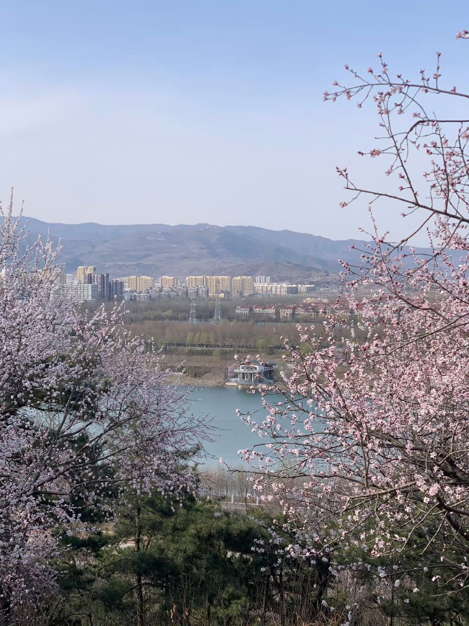老山城市休闲公园旅行图片 2