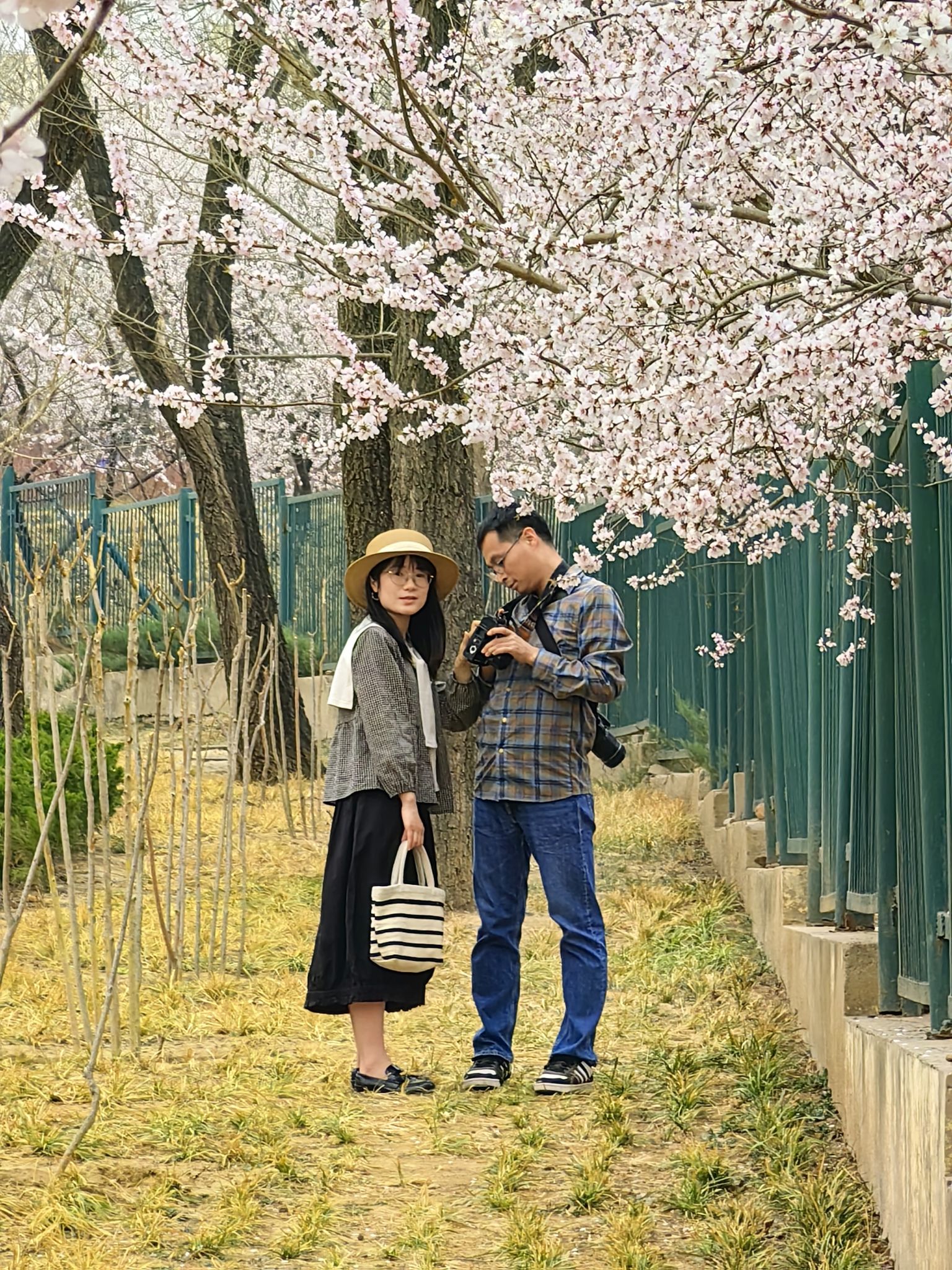 老山城市休闲公园旅行图片 2