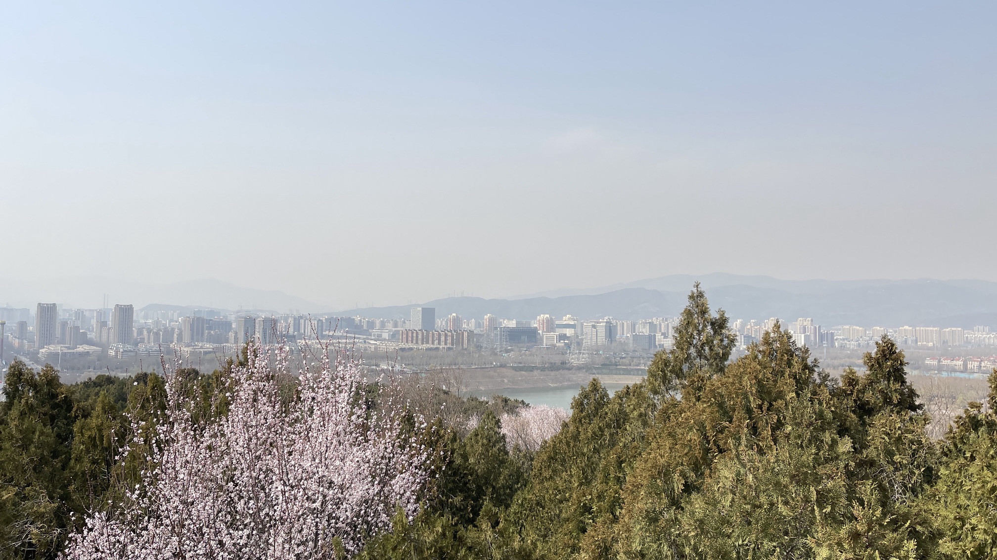 老山城市休闲公园旅行图片 3