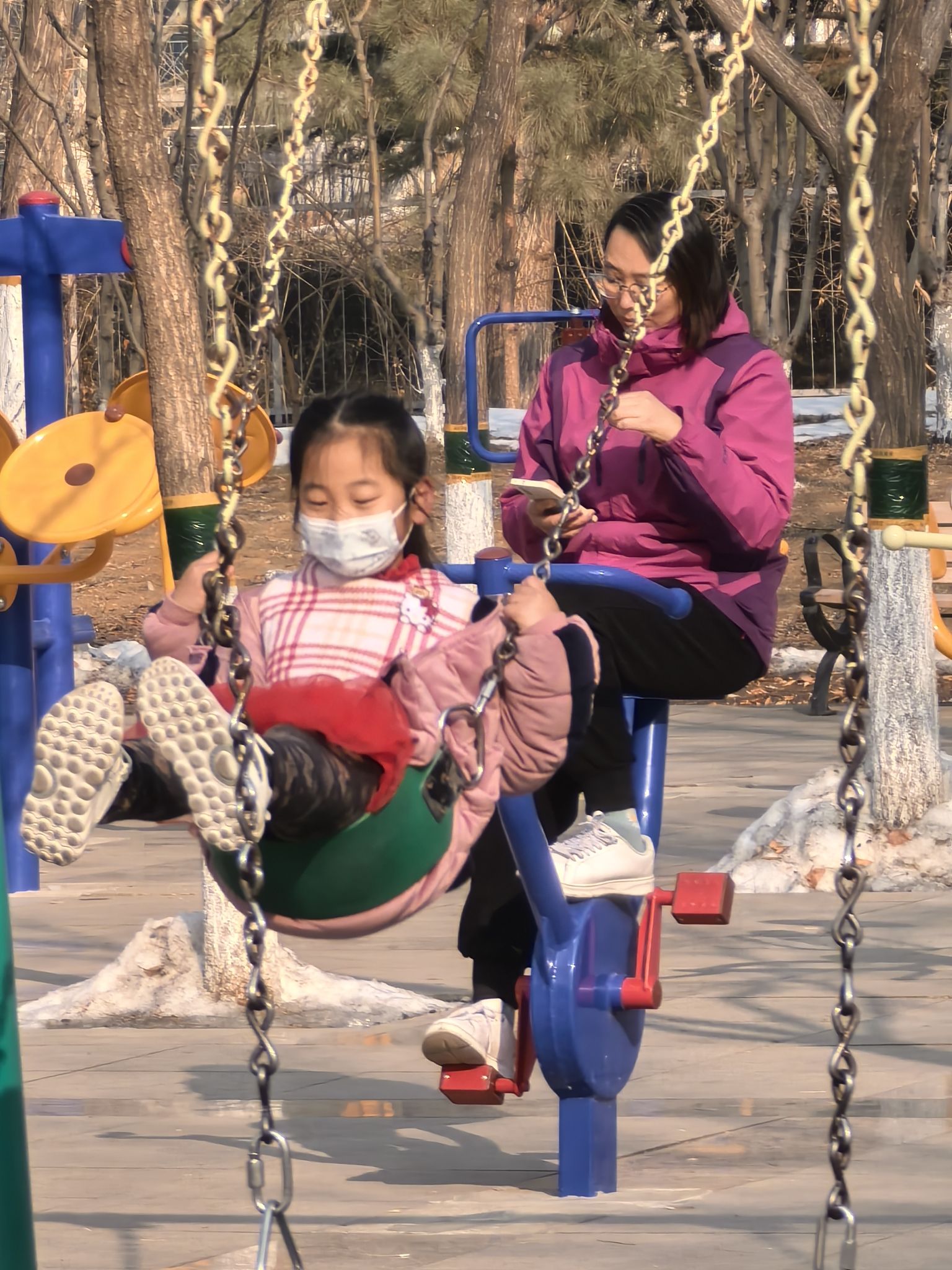 金星公园旅行图片 3