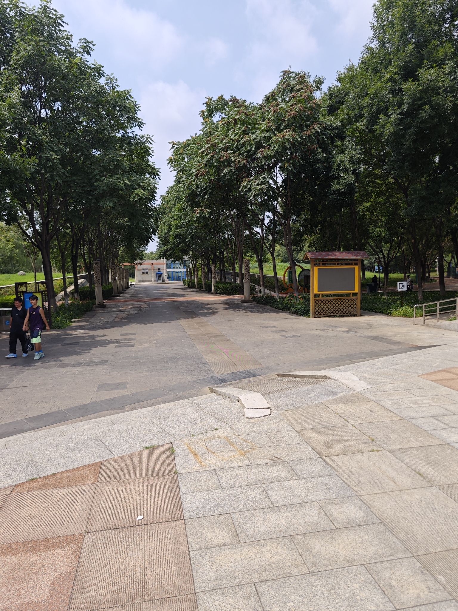 金星公园旅行图片 3