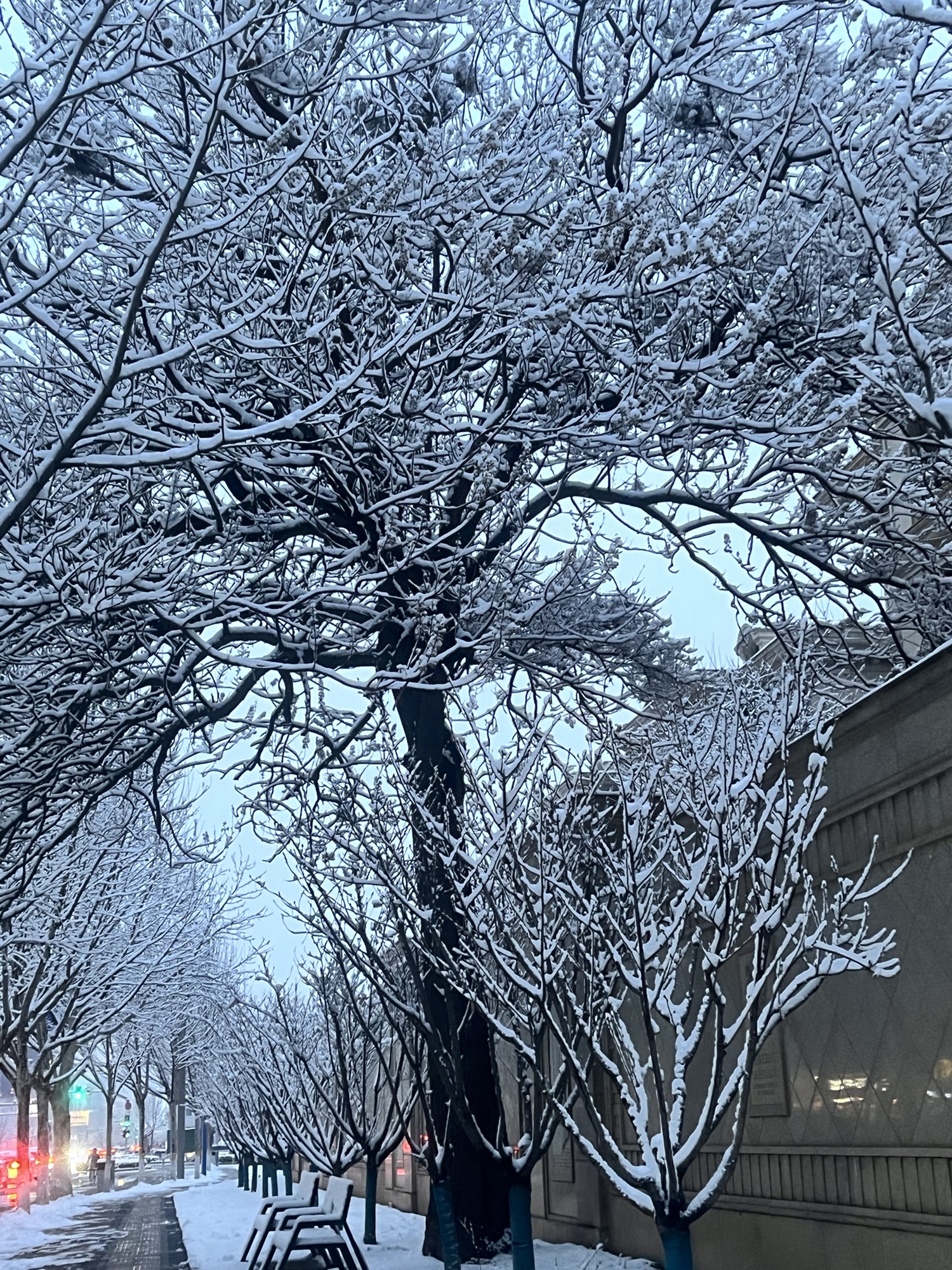金星公园旅行图片 1
