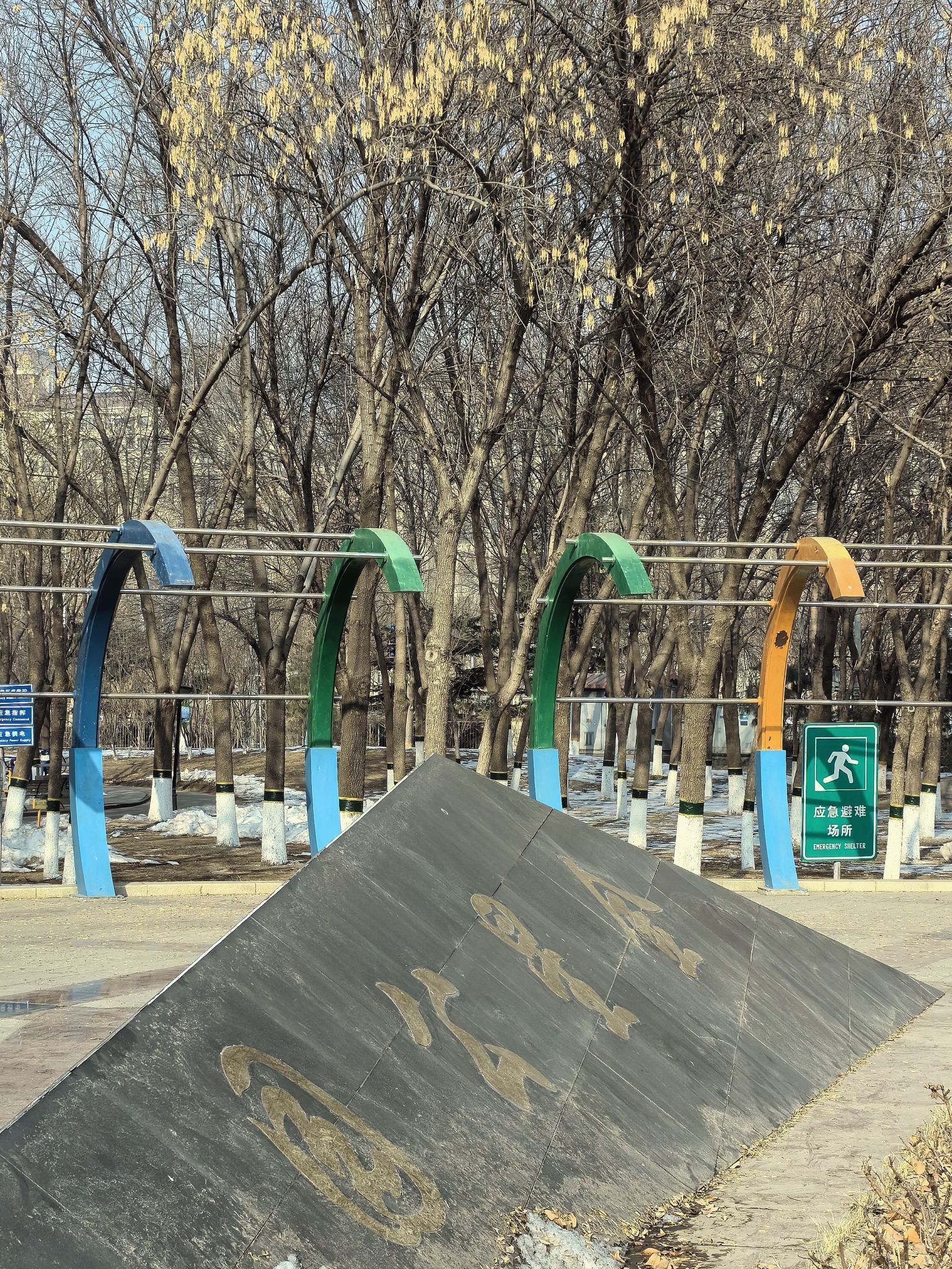 金星公园旅行图片 1