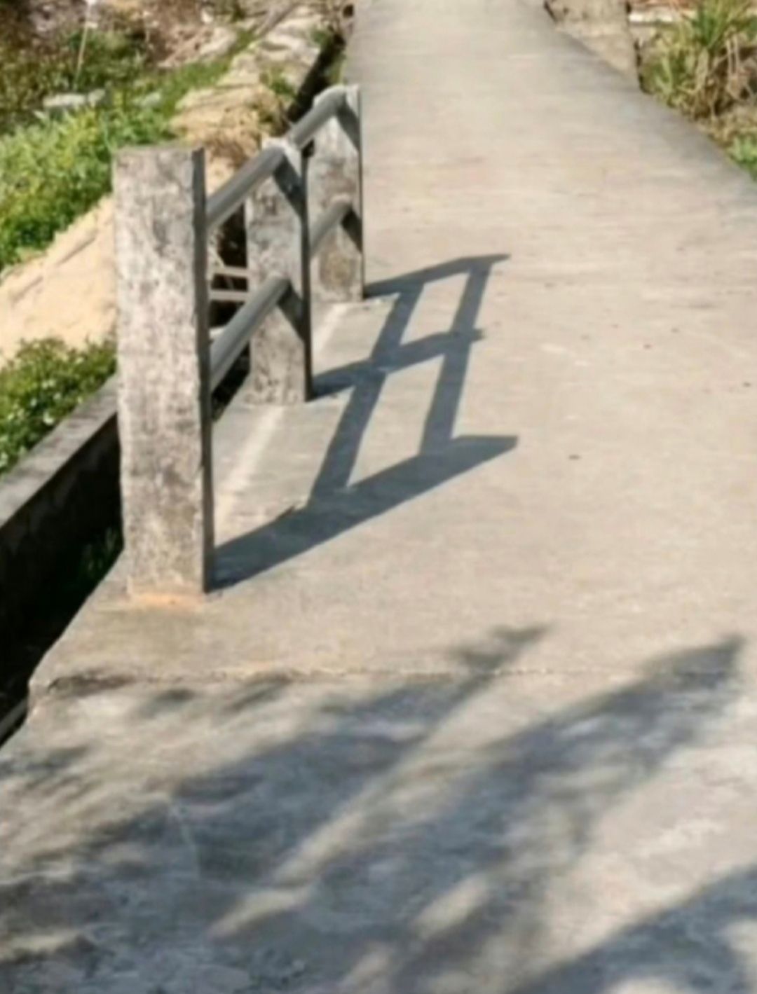 金星公园旅行图片 1