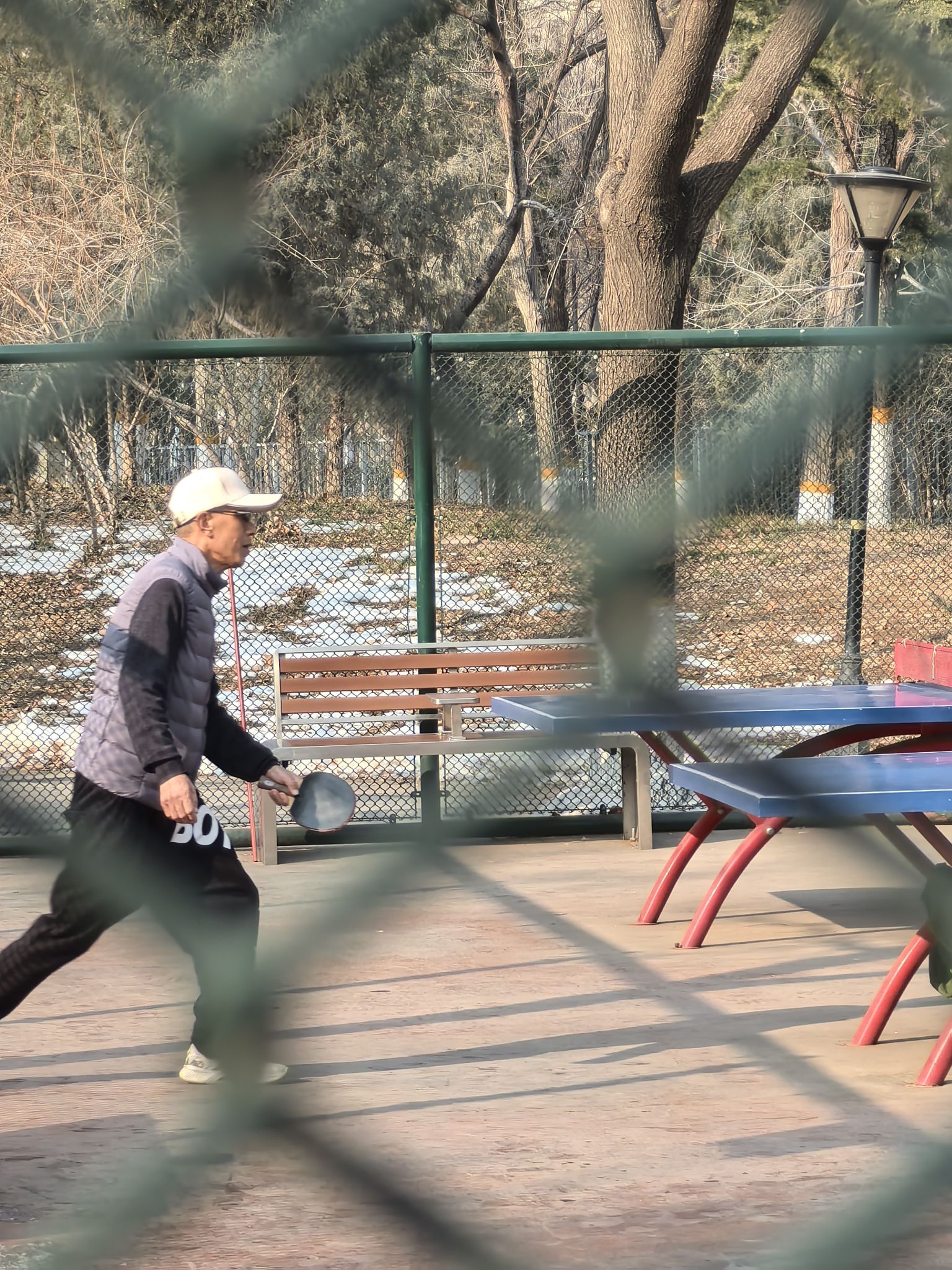 金星公园旅行图片 2
