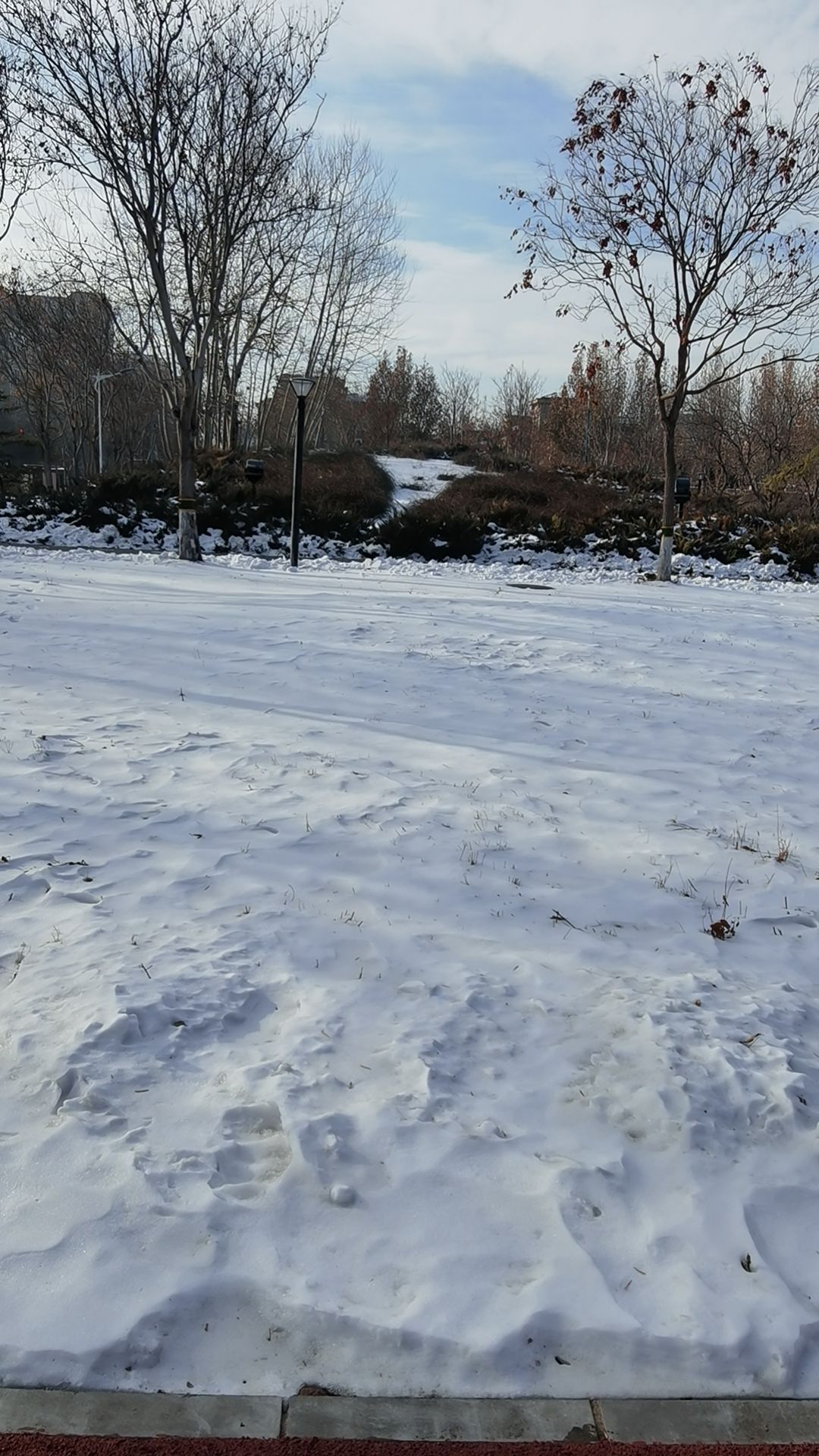 高米店公园旅行图片 2