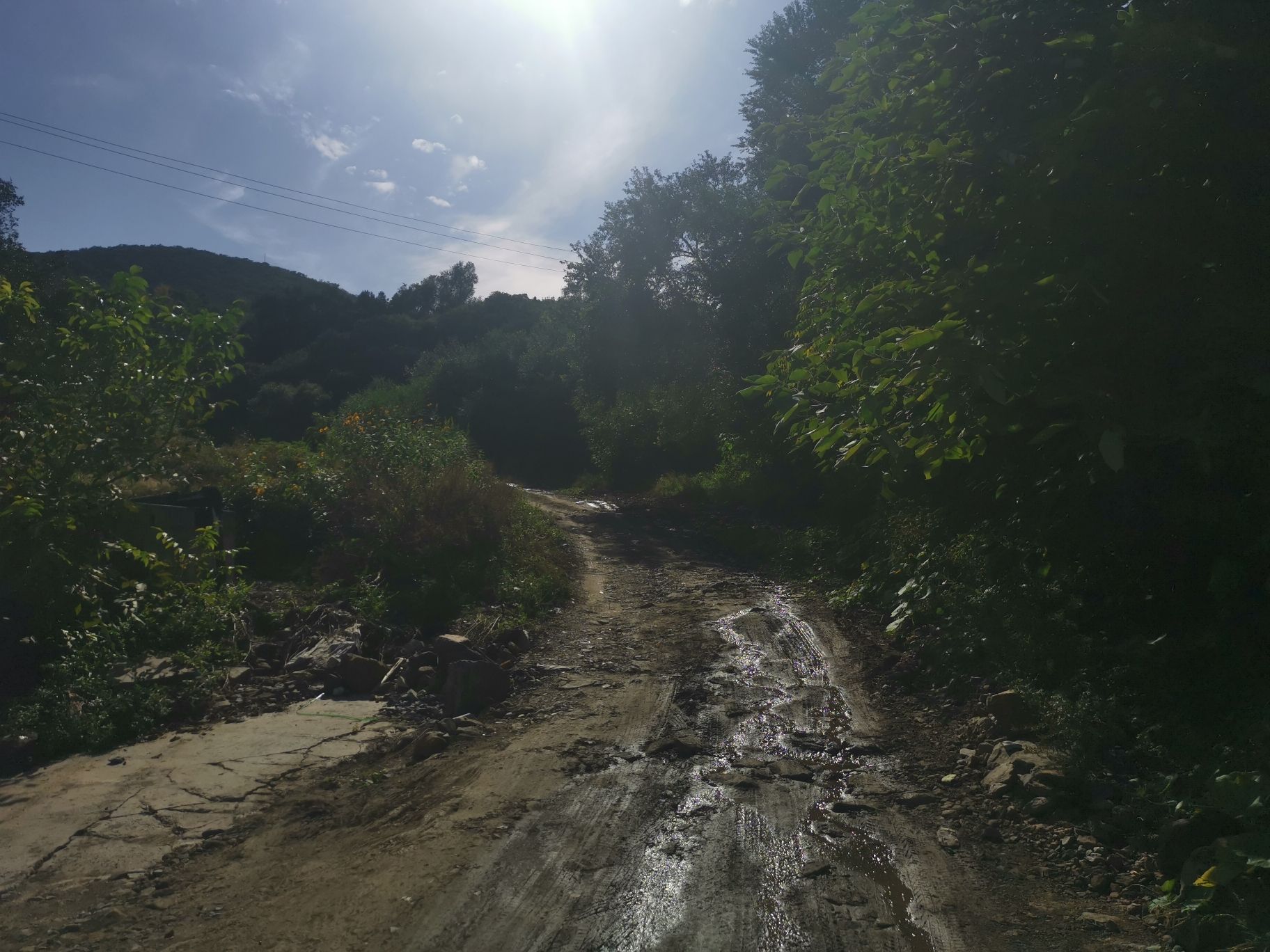 芦潭古道旅行图片 2