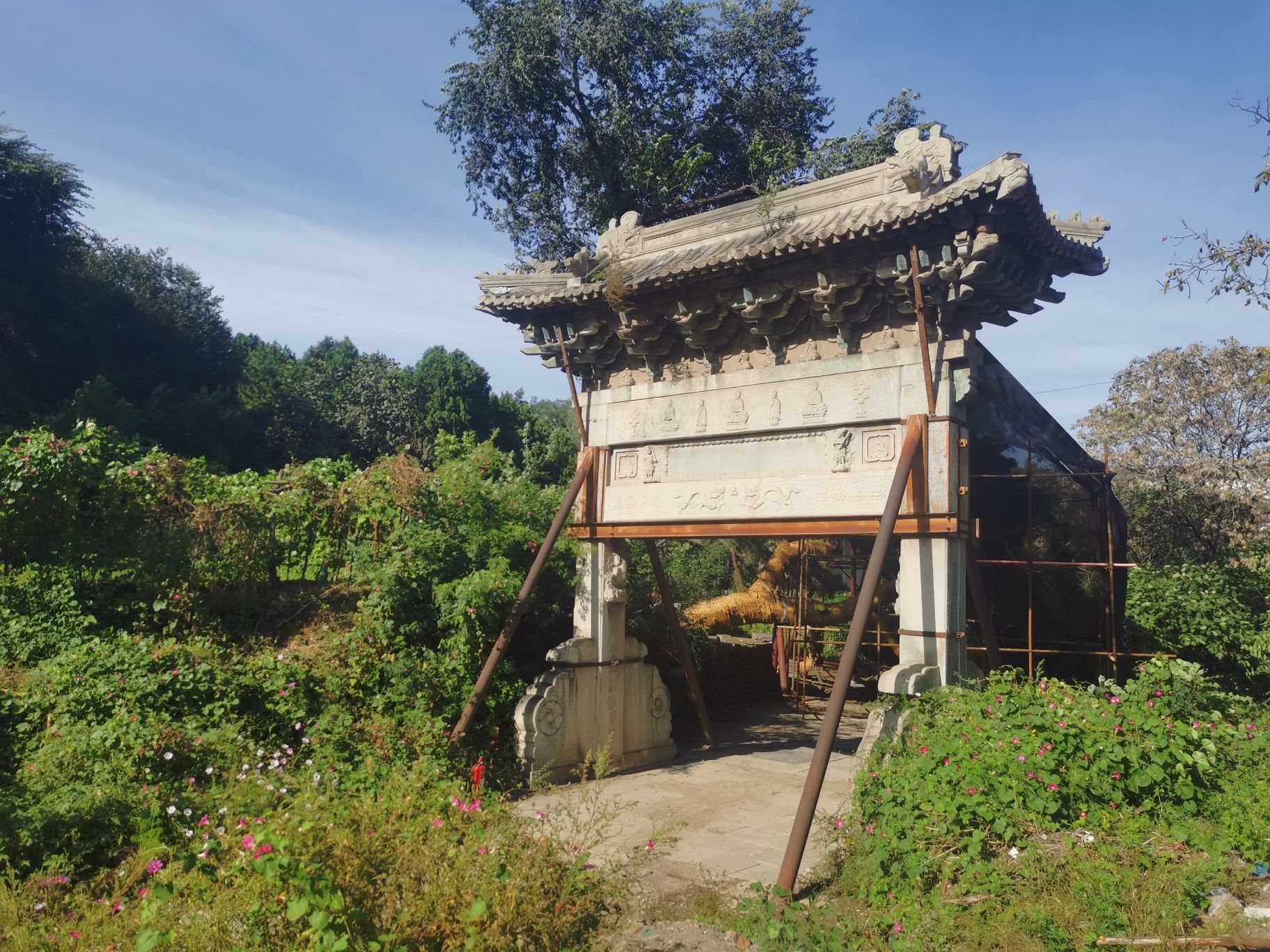 芦潭古道旅行图片 1